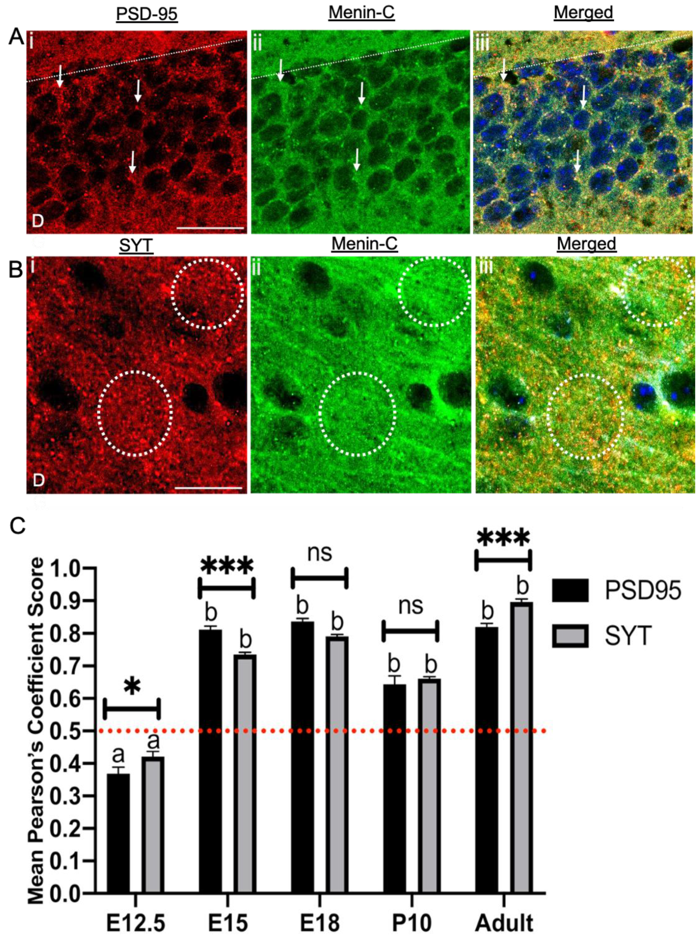 Cells 10 01215 g007 Cells 10 01215 g007