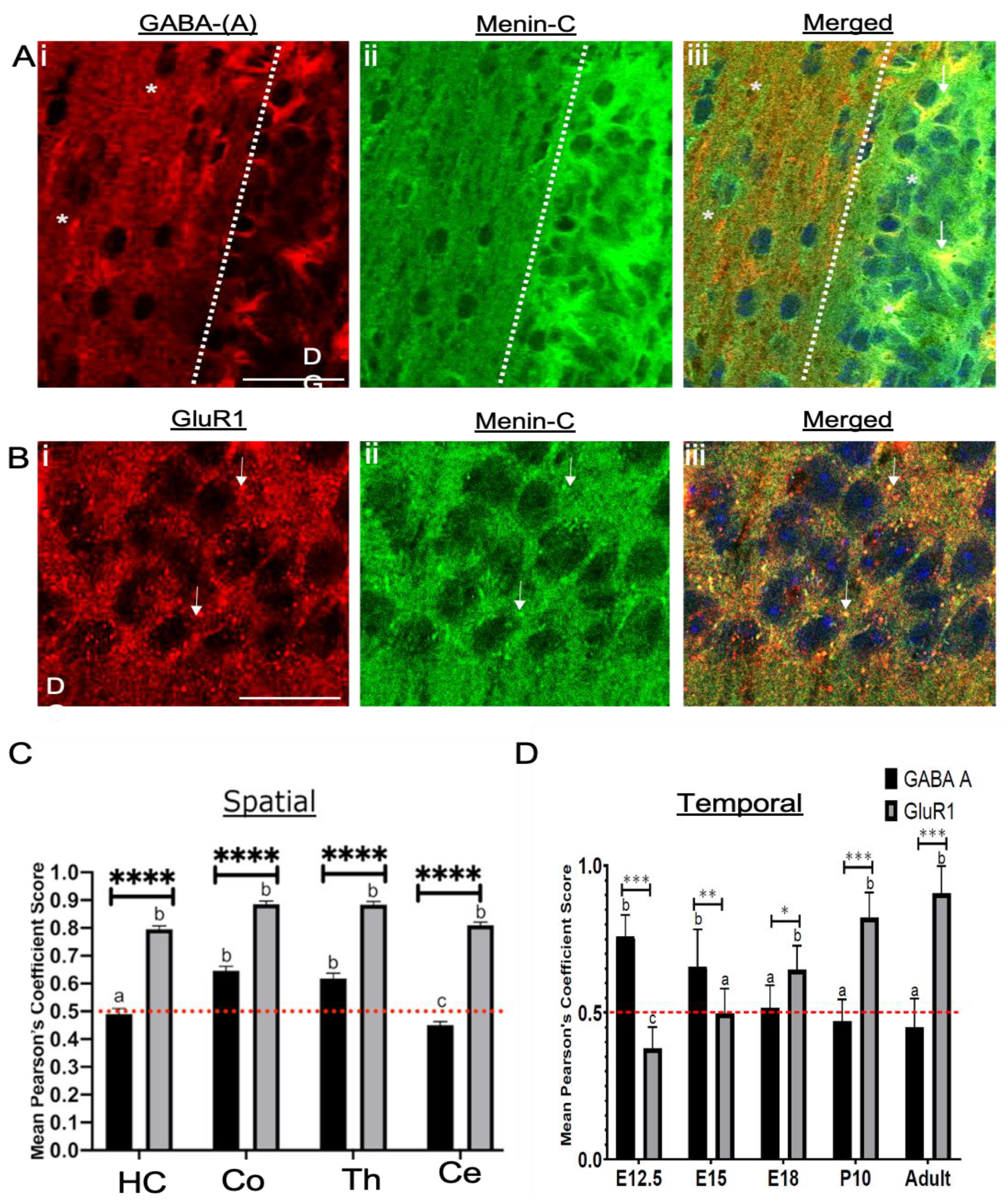 Cells 10 01215 g009 Cells 10 01215 g009