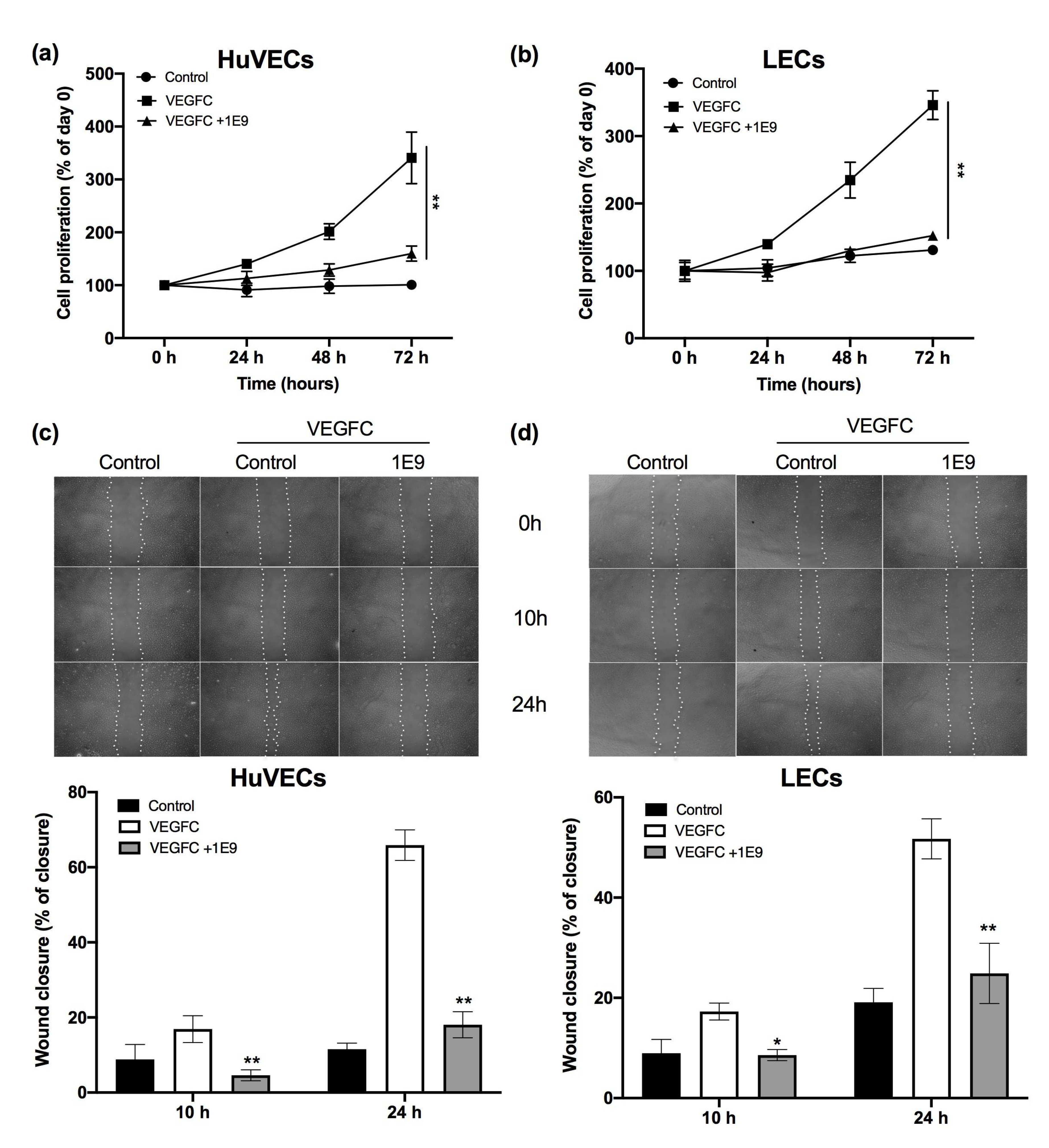 Cells 10 01222 g002 Cells 10 01222 g002