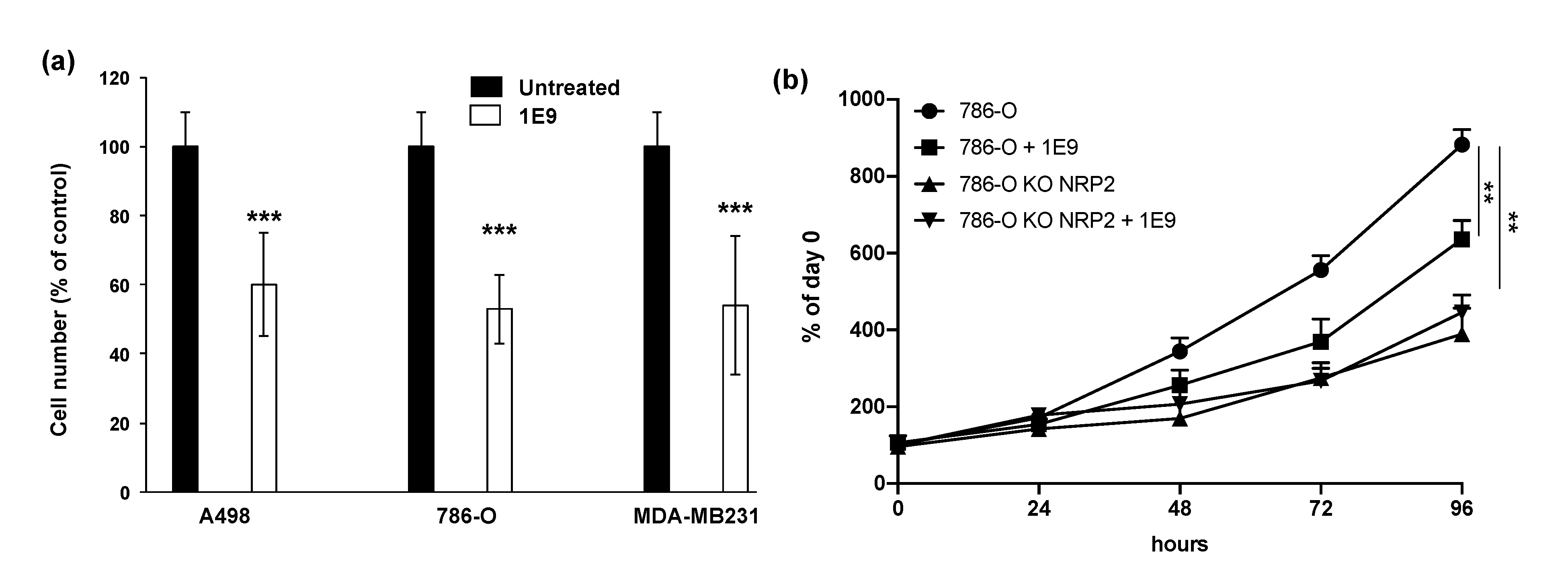 Cells 10 01222 g003 Cells 10 01222 g003