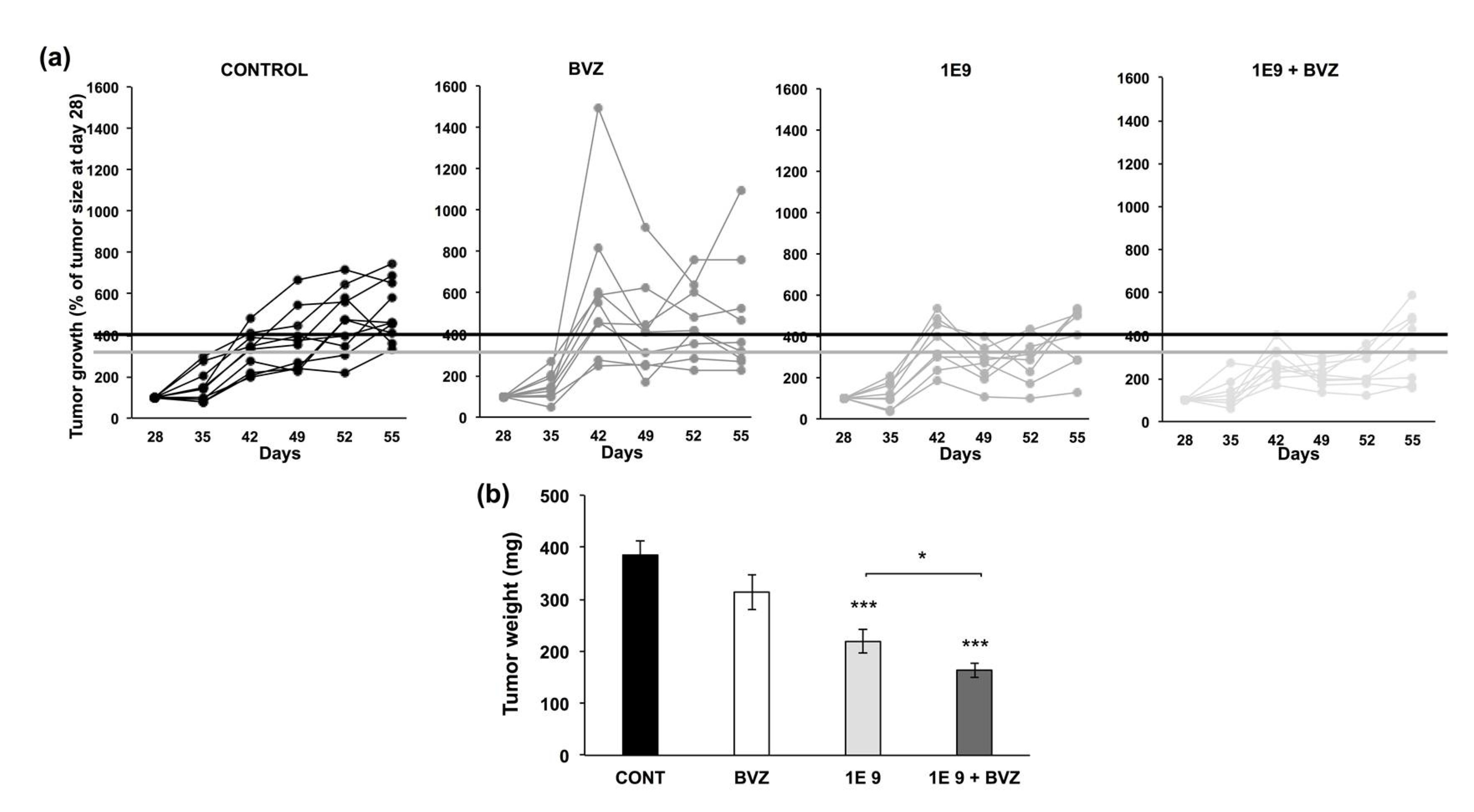 Cells 10 01222 g004 Cells 10 01222 g004