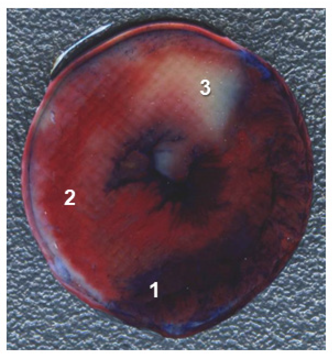 Cells 10 01223 g002
