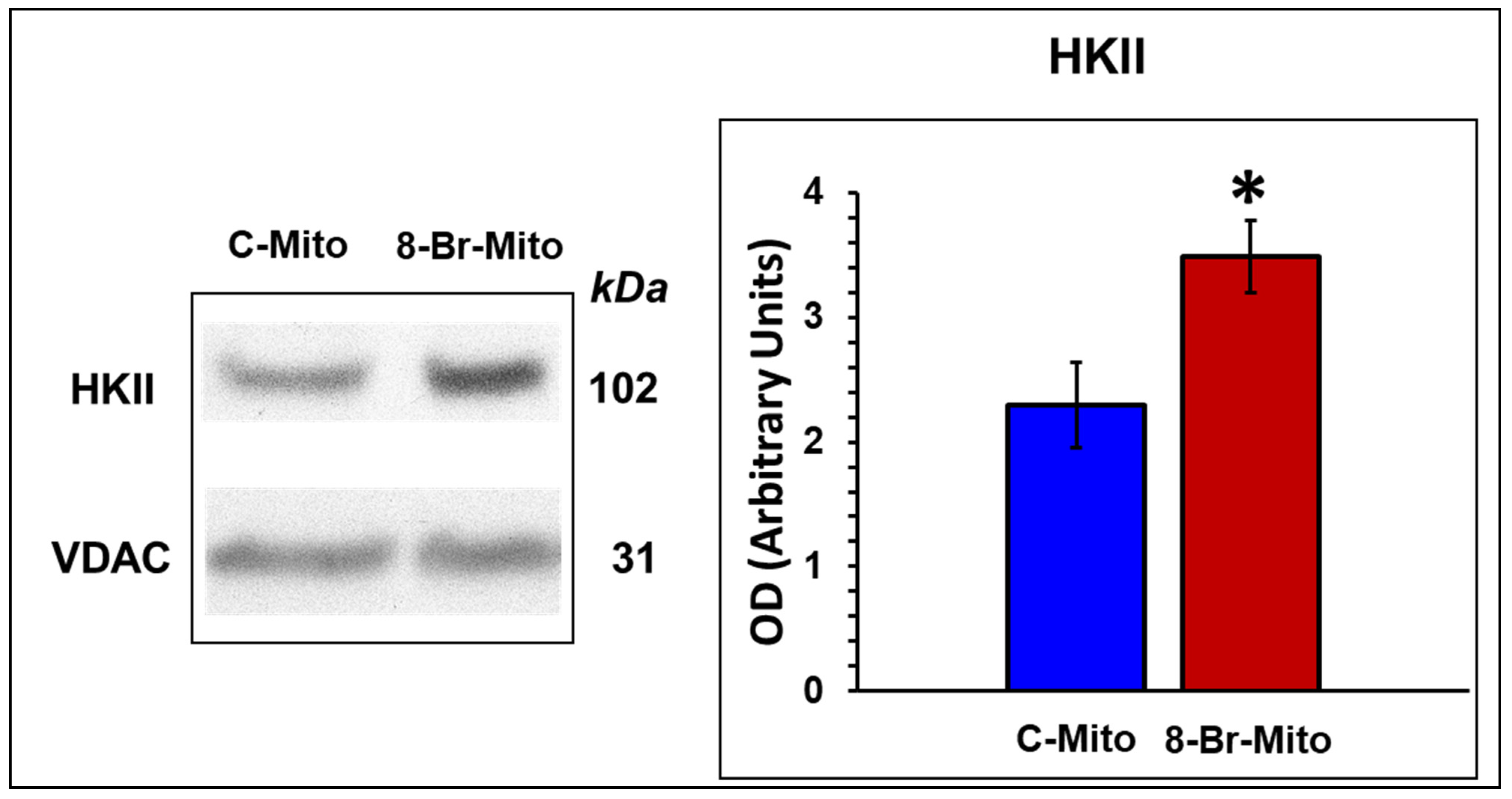 Cells 10 01223 g009