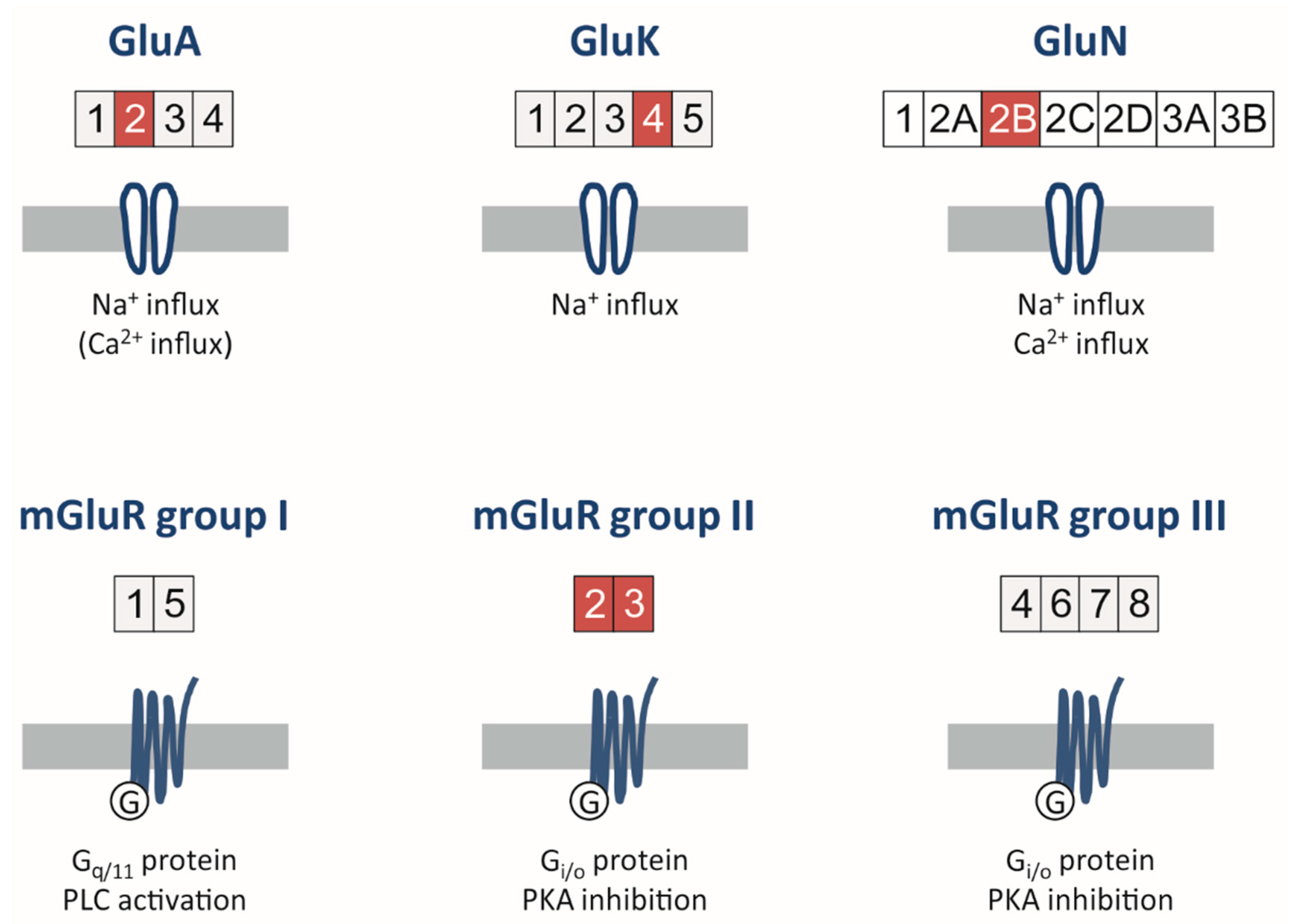 Cells 10 01226 g002 Cells 10 01226 g002