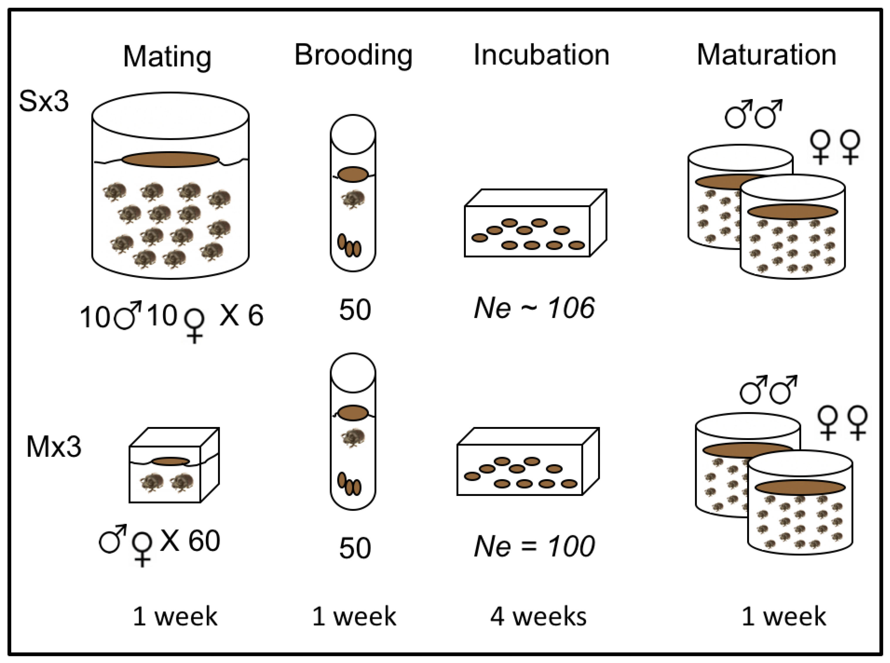 Cells 10 01227 g001