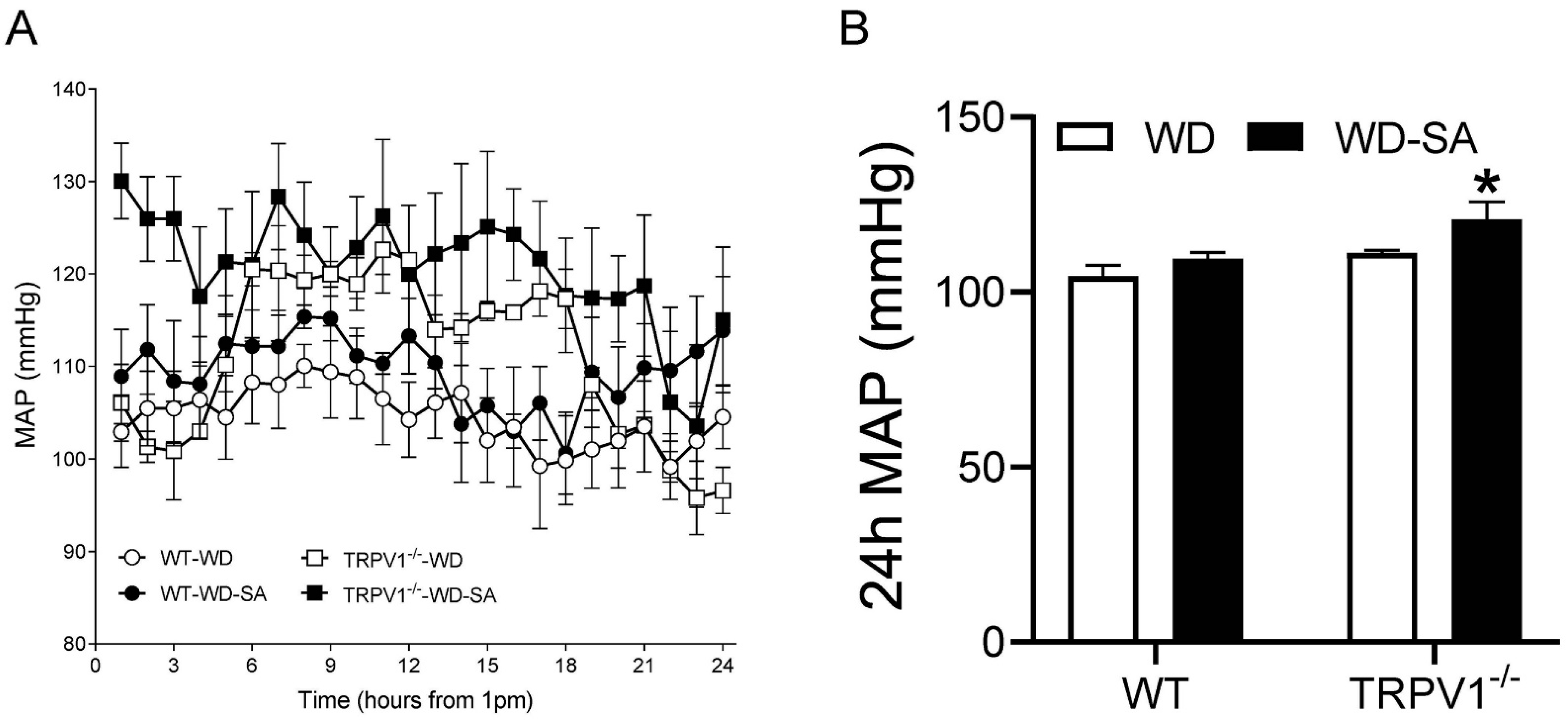 Cells 10 01234 g001 Cells 10 01234 g001