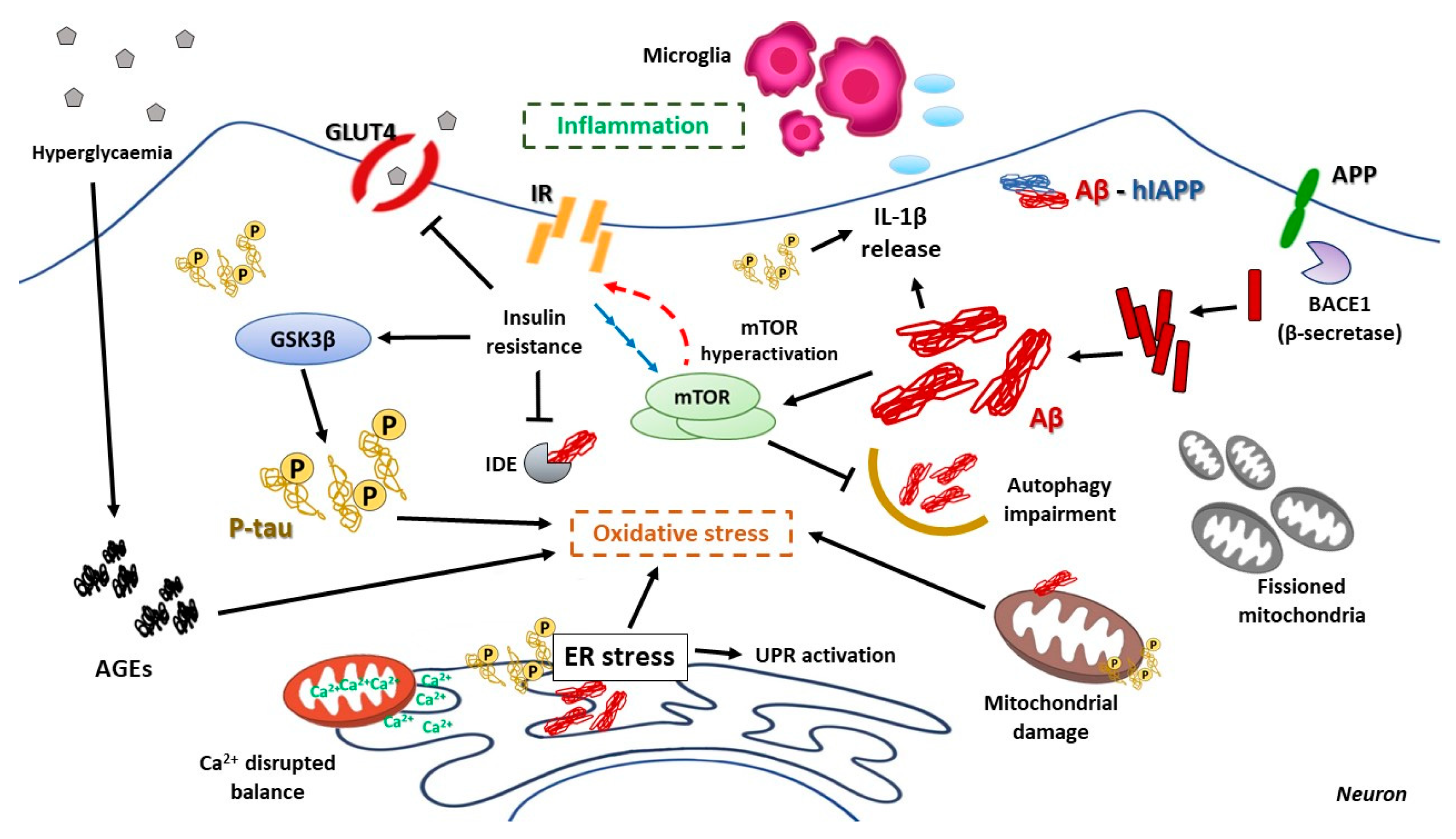 Cells 10 01236 g005 Cells 10 01236 g005