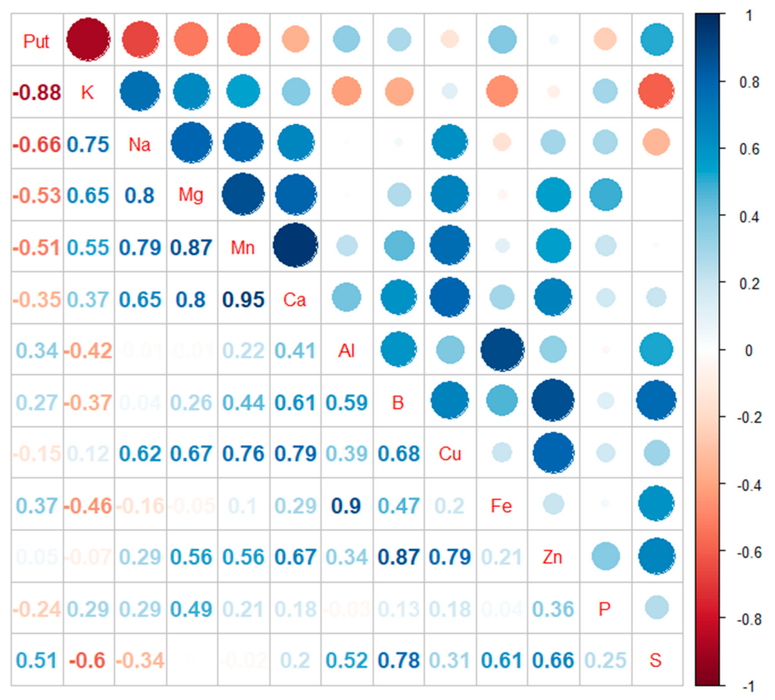 Cells 10 01244 g003 Cells 10 01244 g003