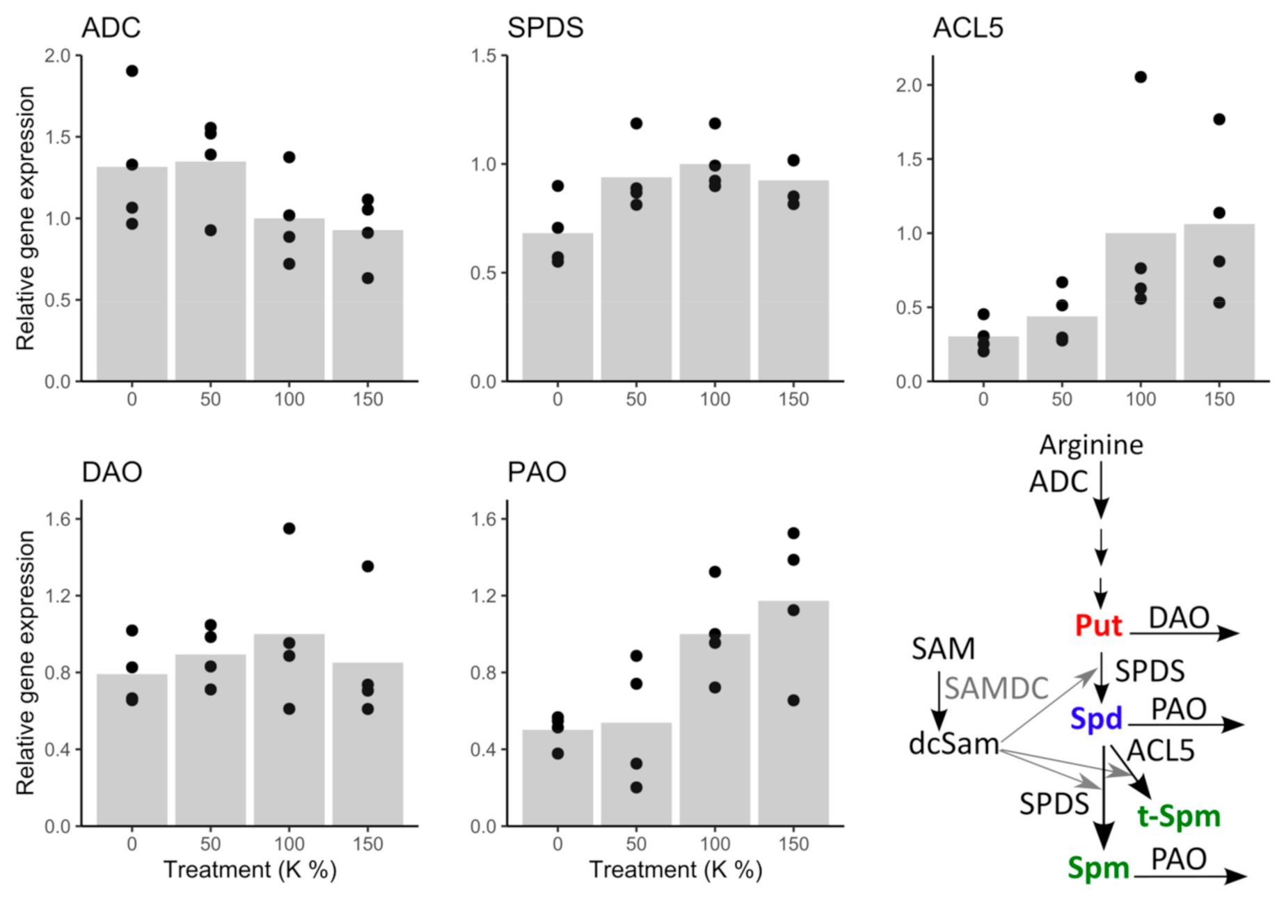Cells 10 01244 g005 Cells 10 01244 g005