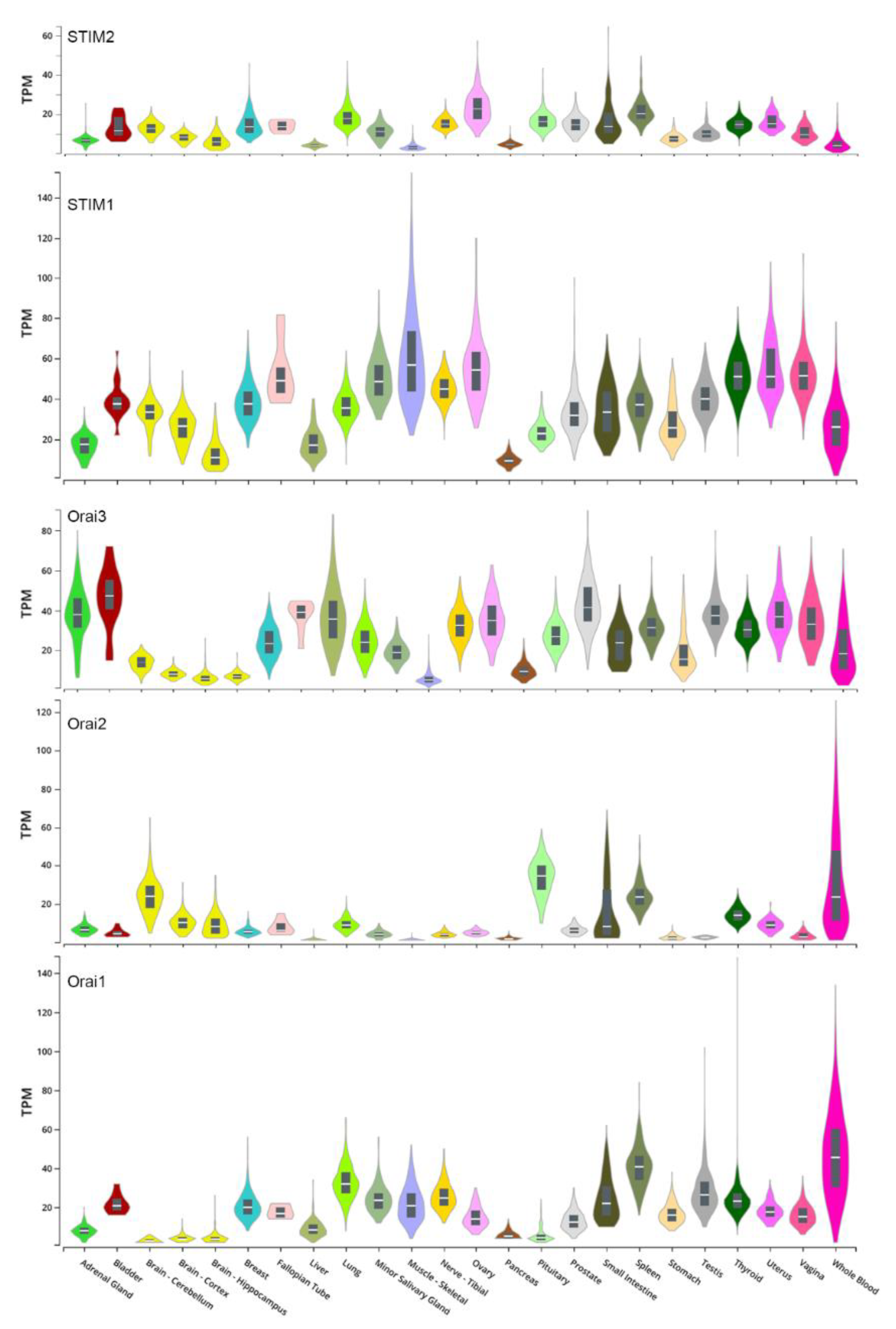 Cells 10 01246 g003 Cells 10 01246 g003
