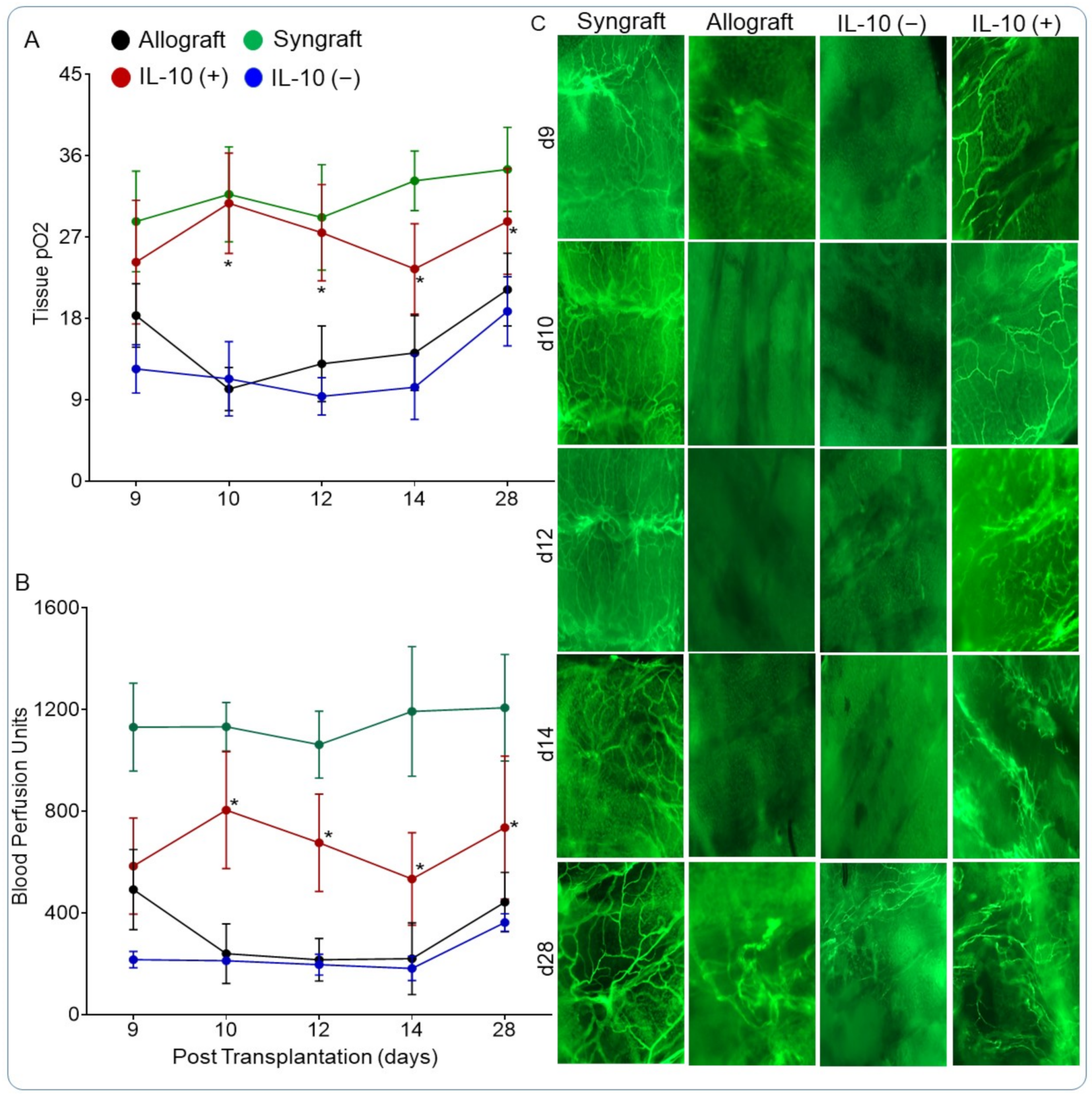 Cells 10 01248 g004 Cells 10 01248 g004