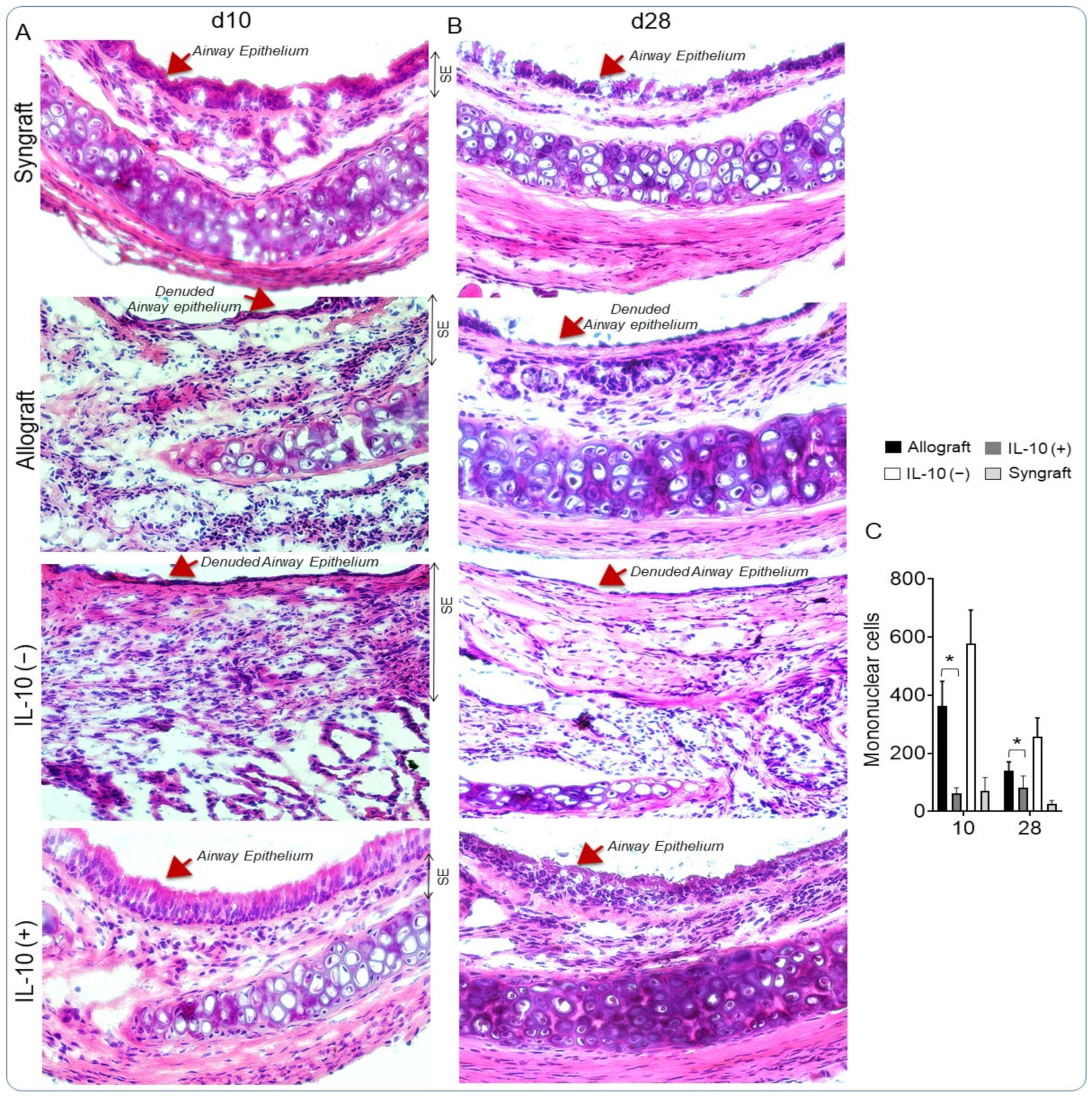 Cells 10 01248 g005 Cells 10 01248 g005