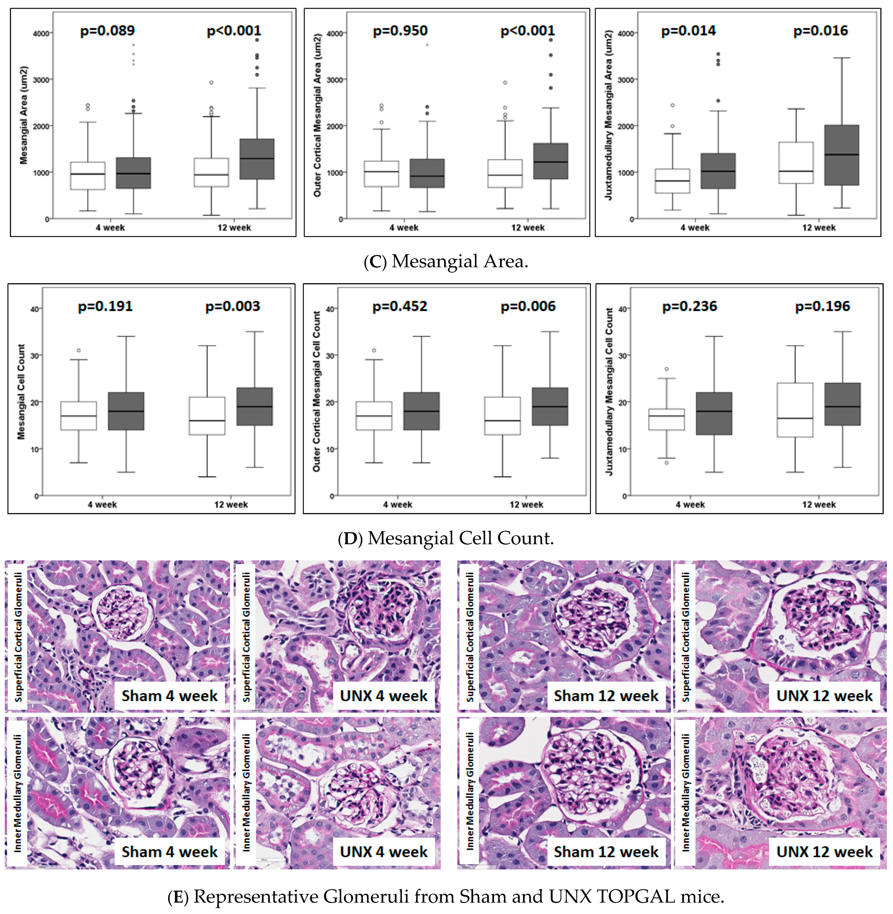 Cells 10 01253 g002b