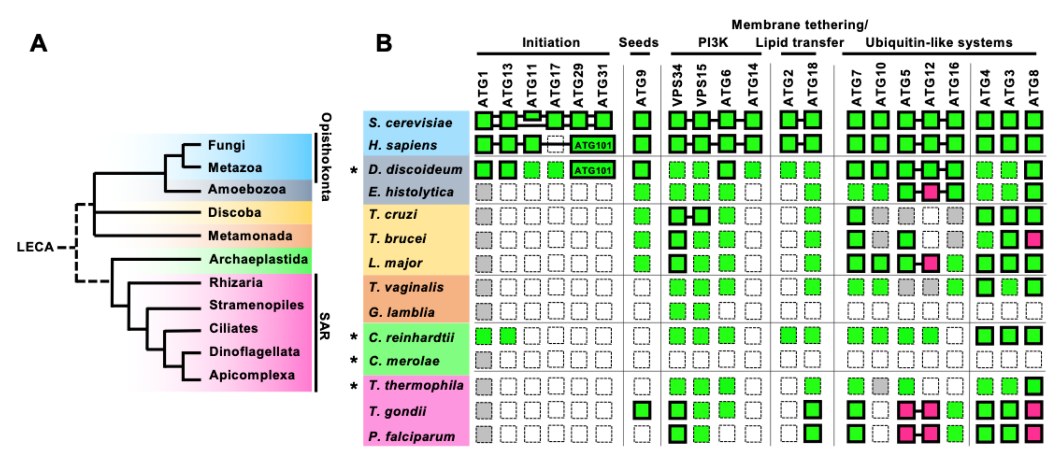 Cells 10 01258 g002 Cells 10 01258 g002