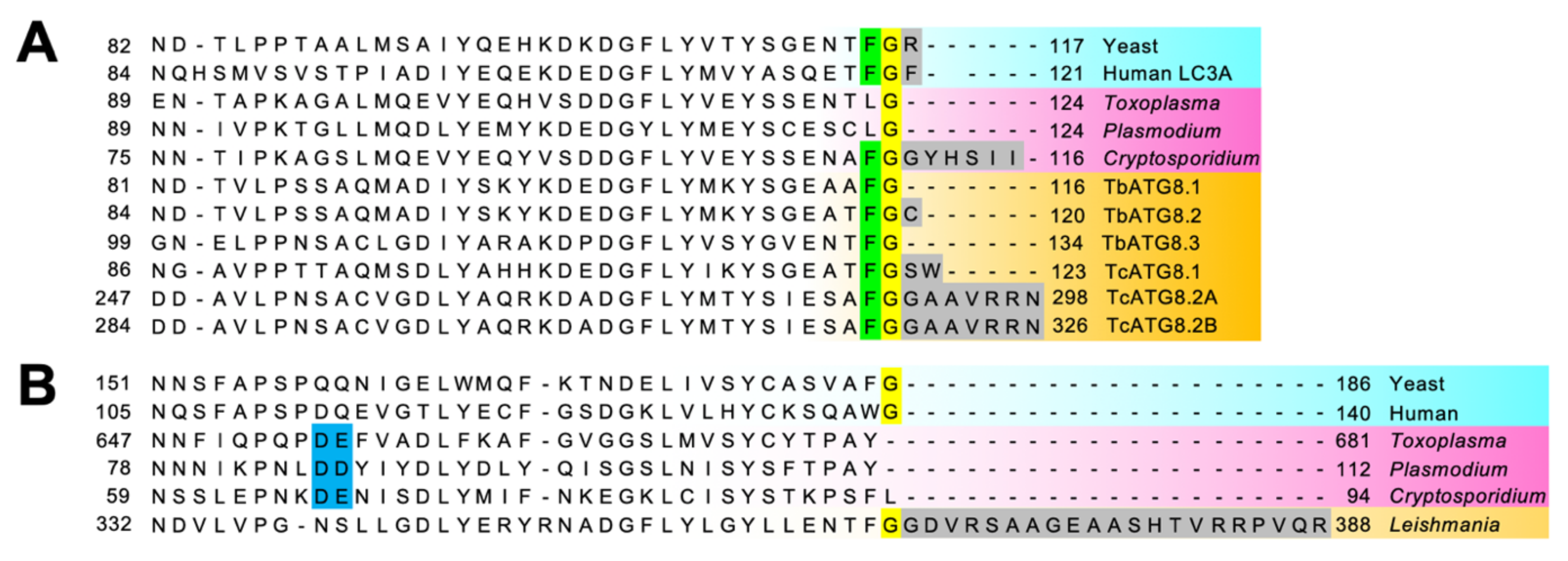 Cells 10 01258 g005 Cells 10 01258 g005