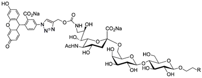 Cells 10 01260 i008 Cells 10 01260 i008