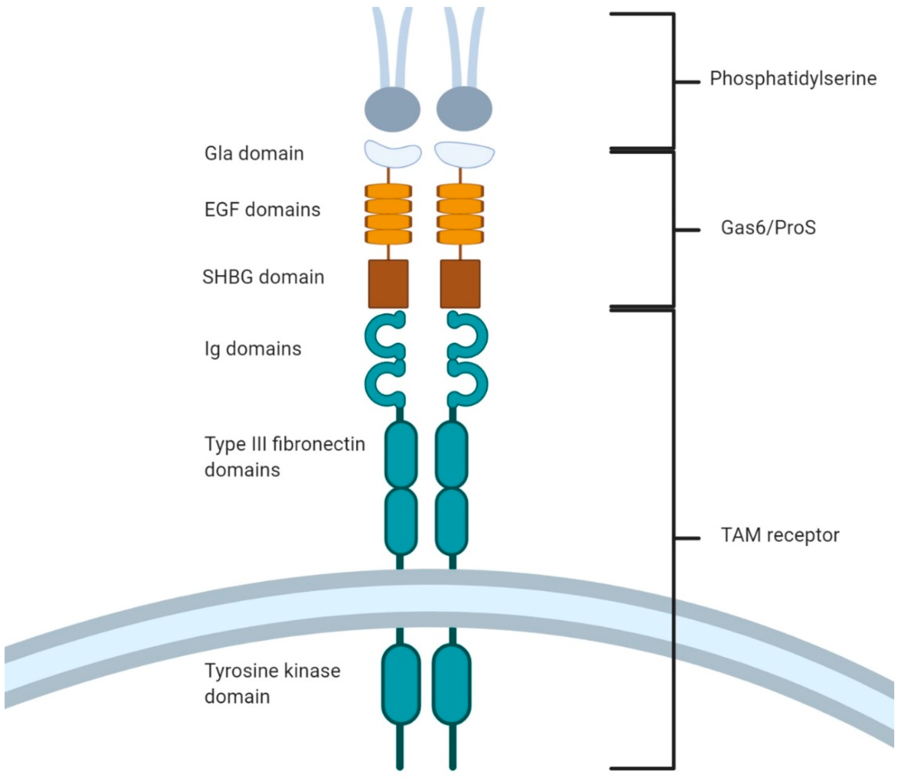 Cells 10 01265 g003 Cells 10 01265 g003
