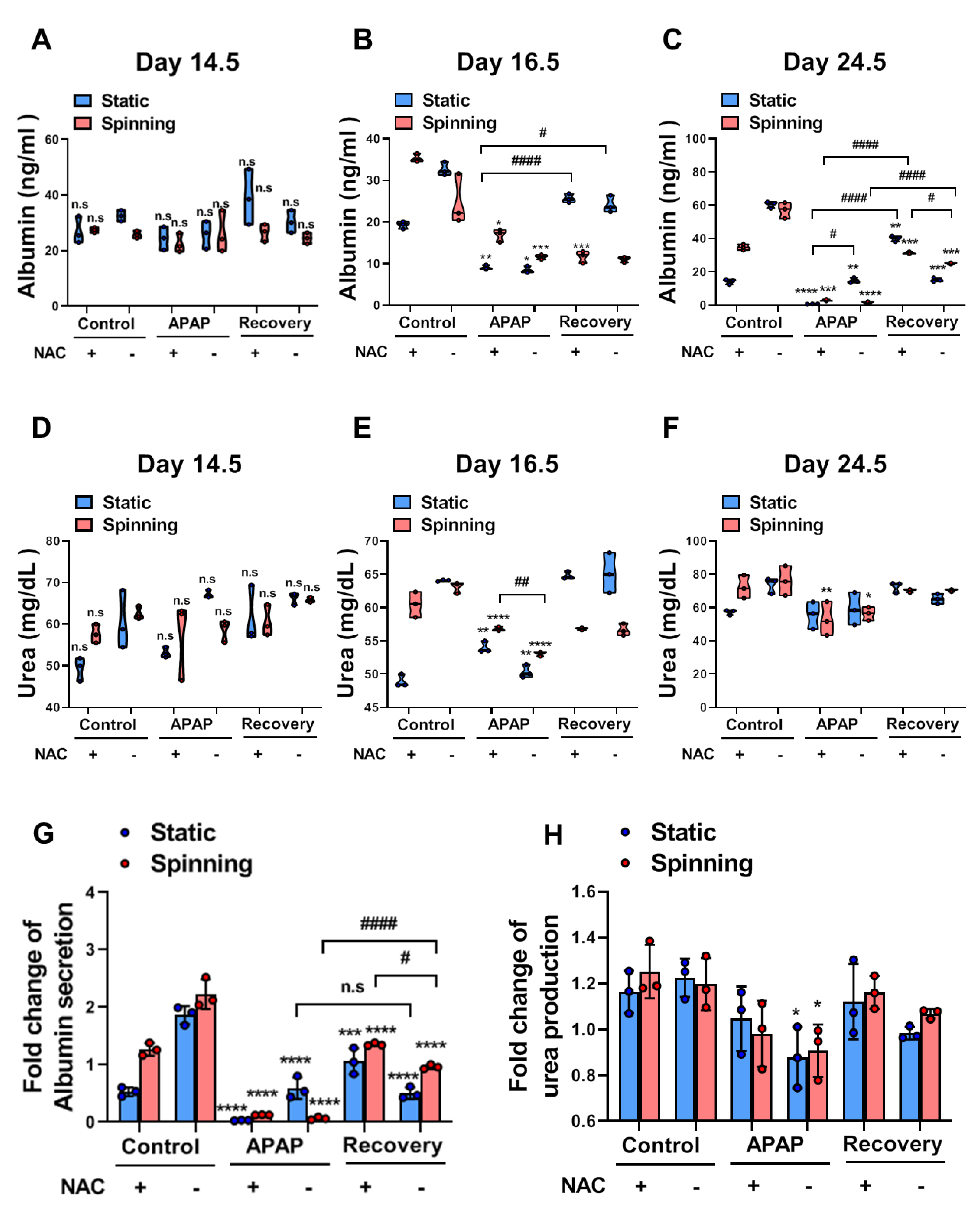 Cells 10 01268 g005 Cells 10 01268 g005