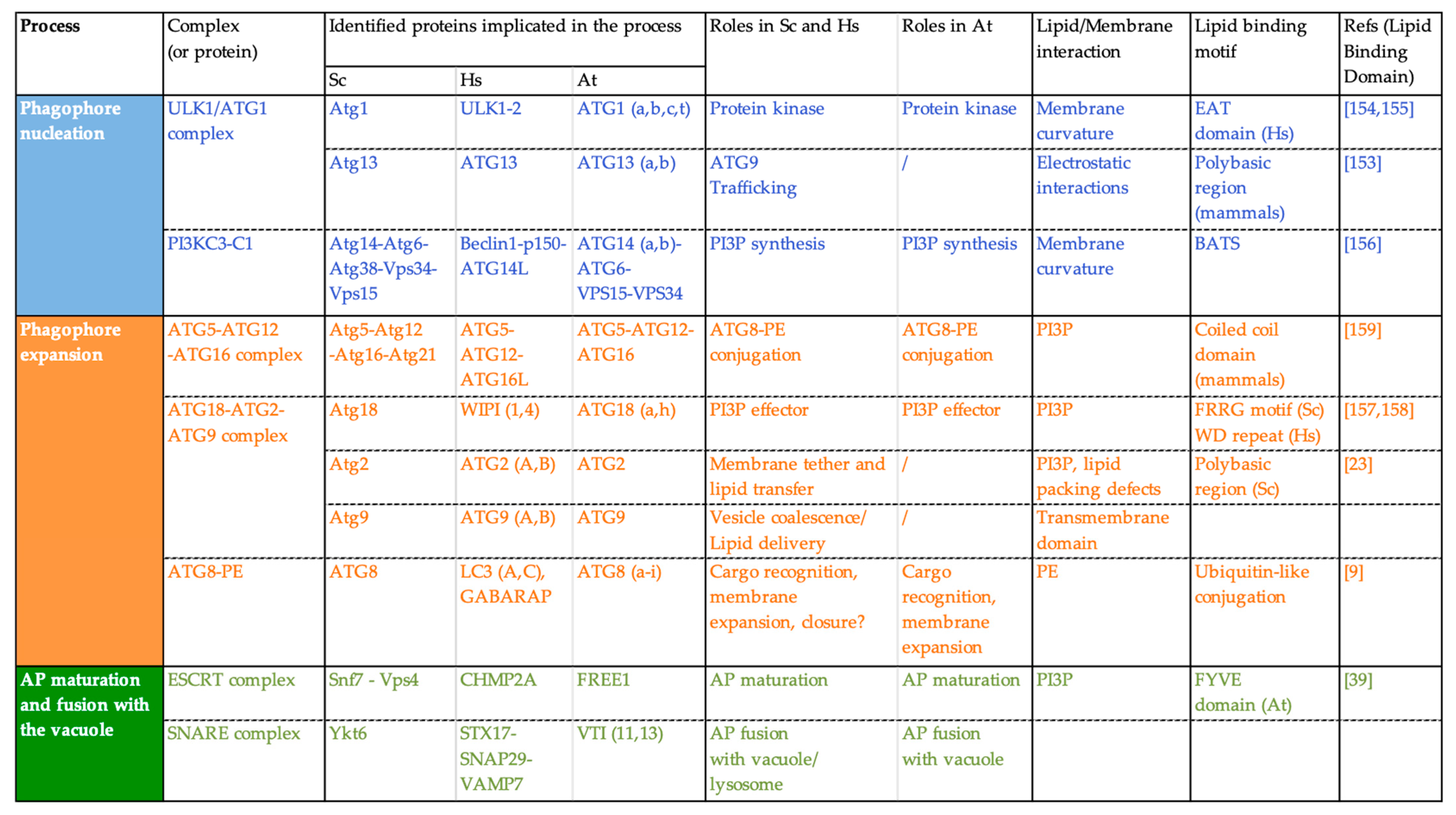 Cells 10 01272 g004 Cells 10 01272 g004