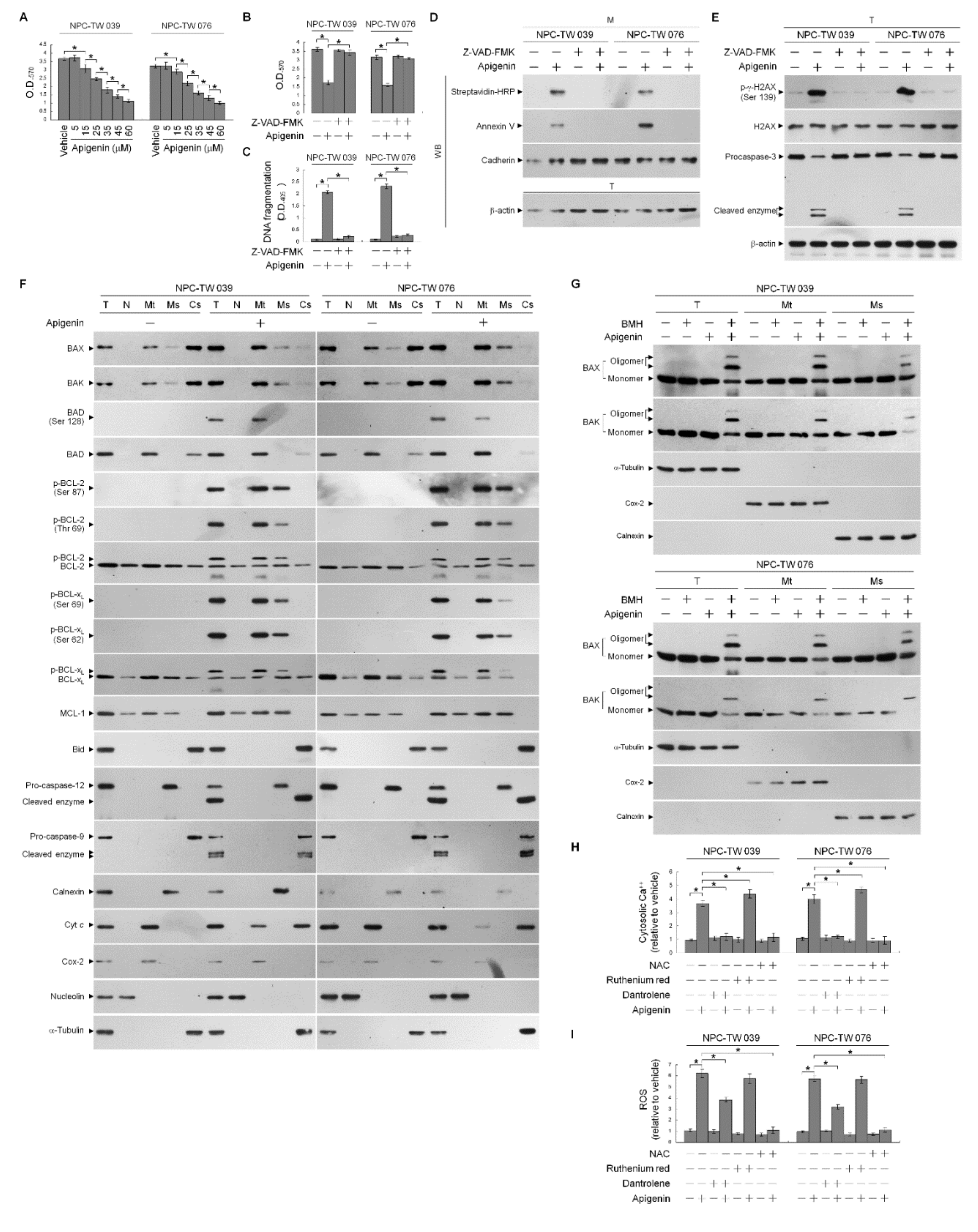 Cells 10 01280 g001 Cells 10 01280 g001