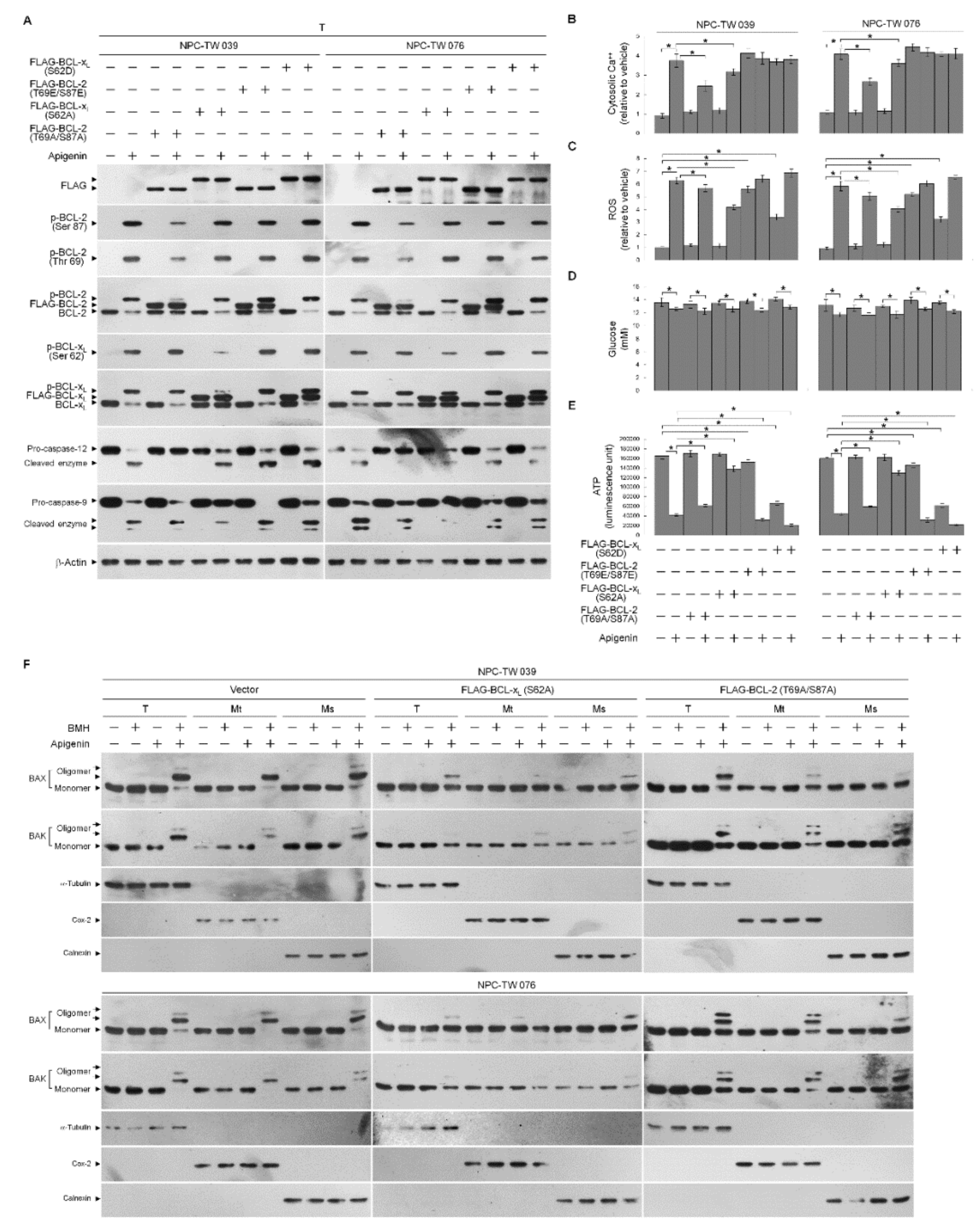 Cells 10 01280 g002 Cells 10 01280 g002