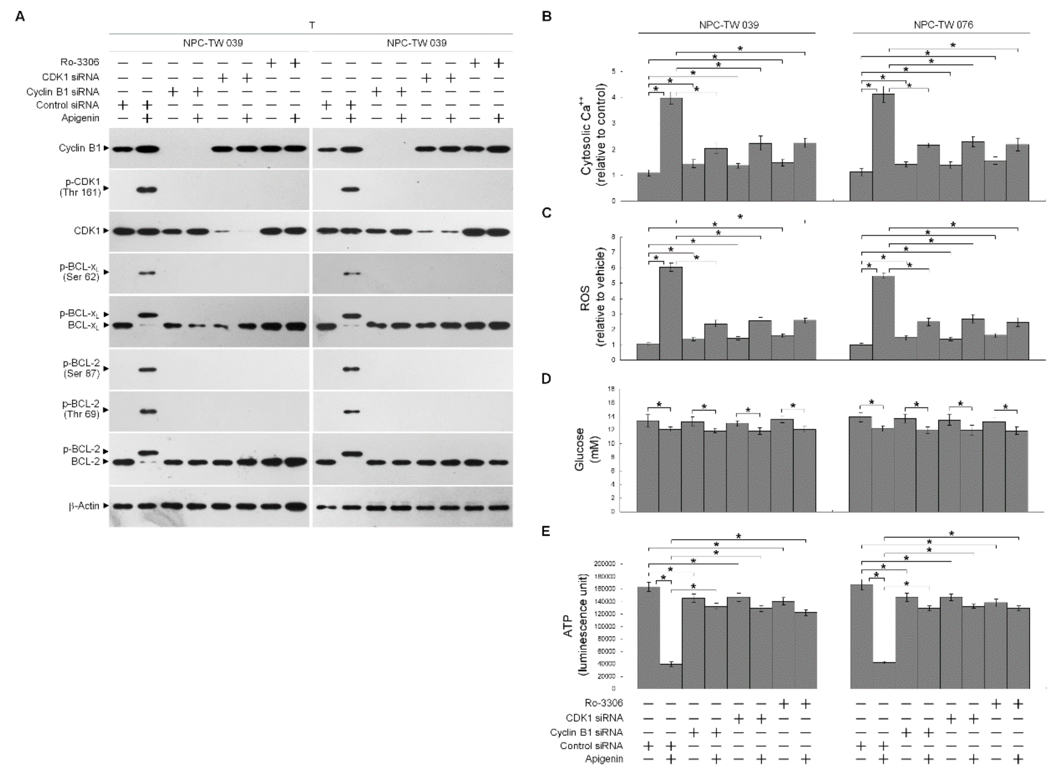 Cells 10 01280 g004 Cells 10 01280 g004