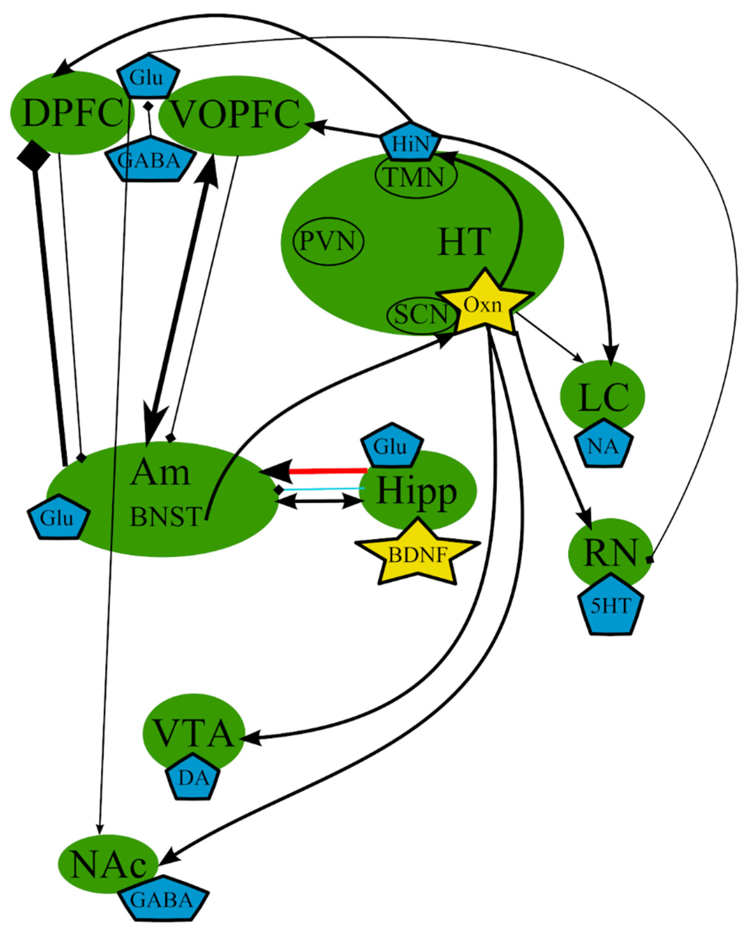 Cells 10 01283 g004