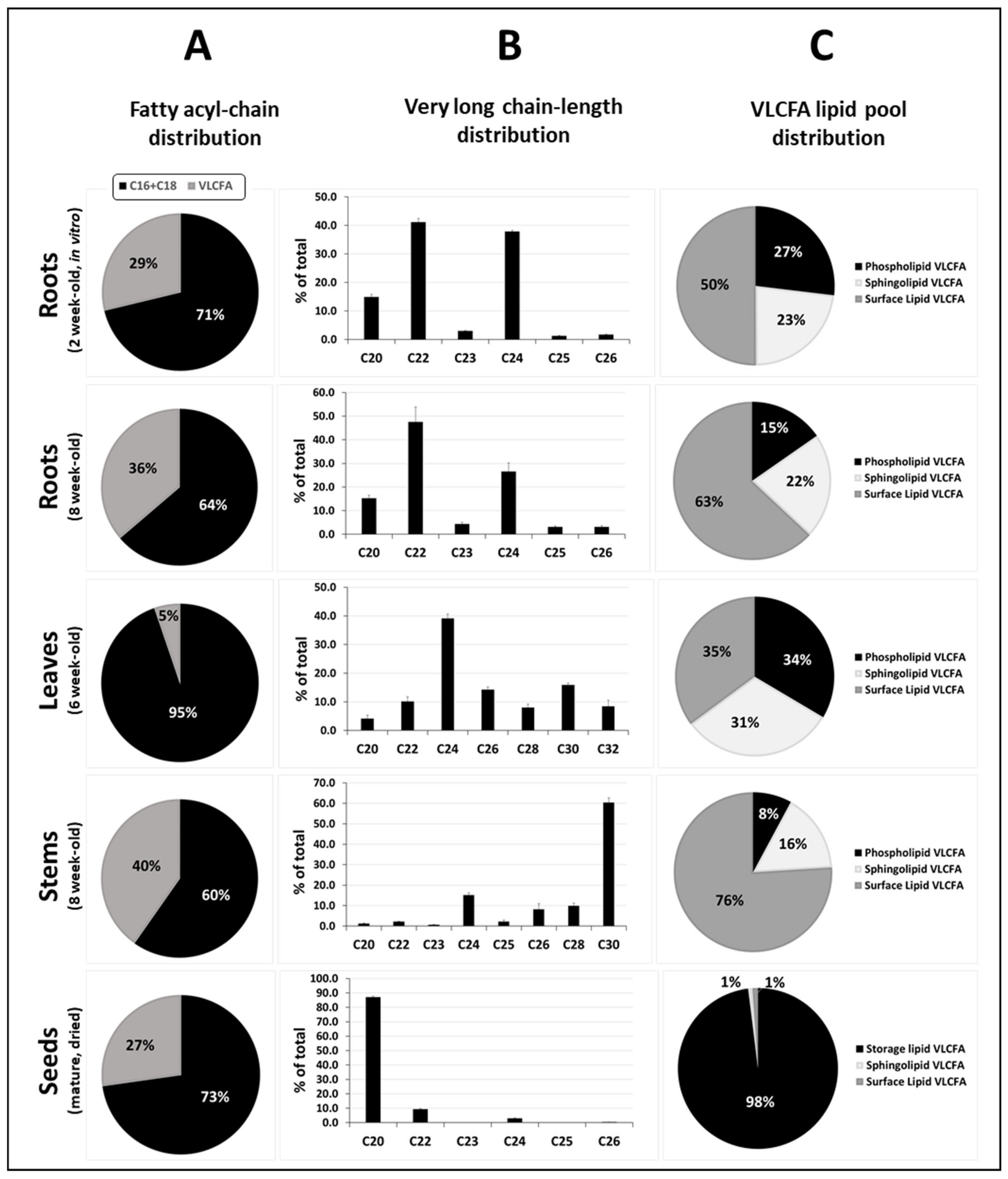 Cells 10 01284 g003 Cells 10 01284 g003