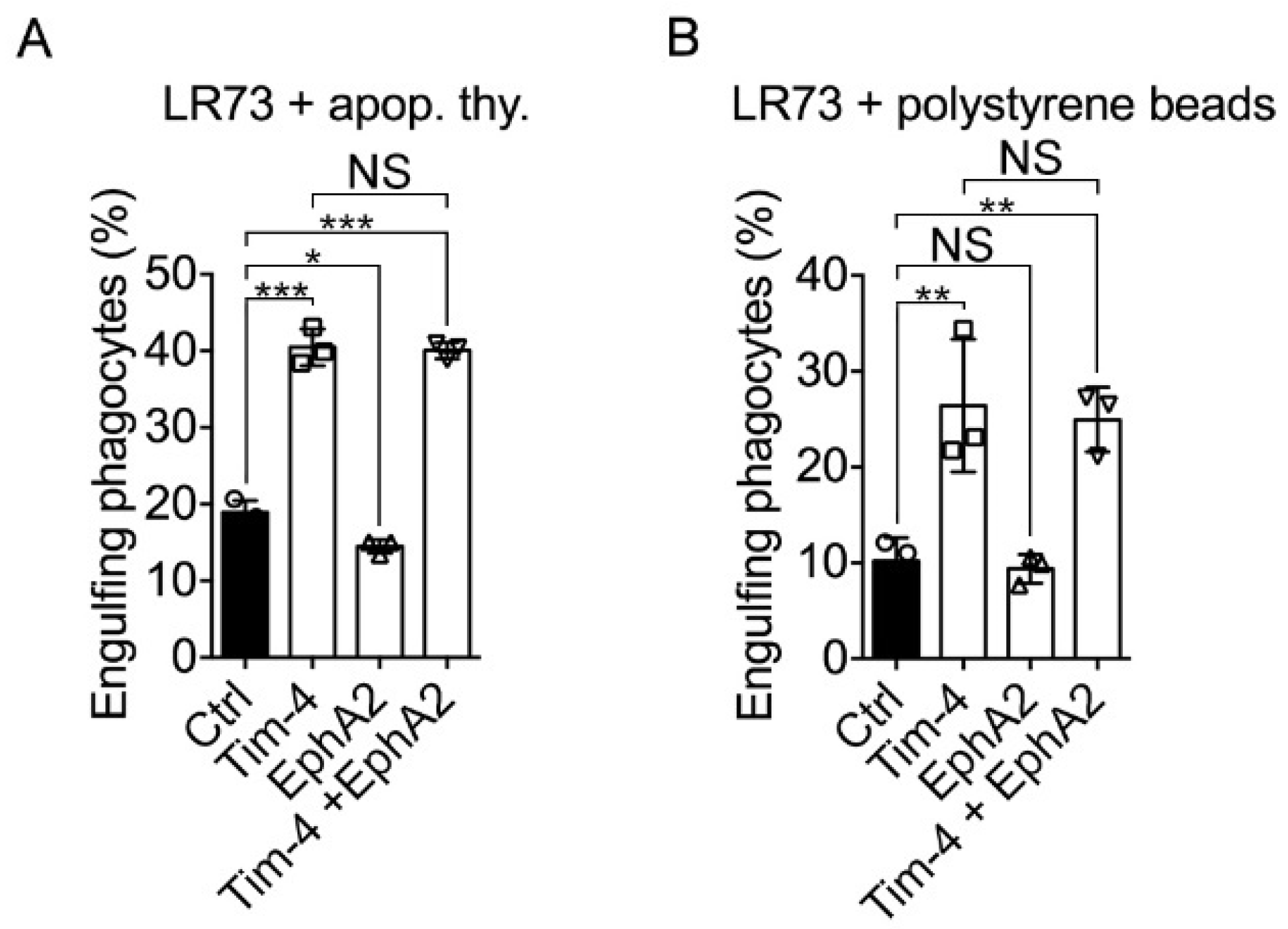 Cells 10 01290 g005 Cells 10 01290 g005