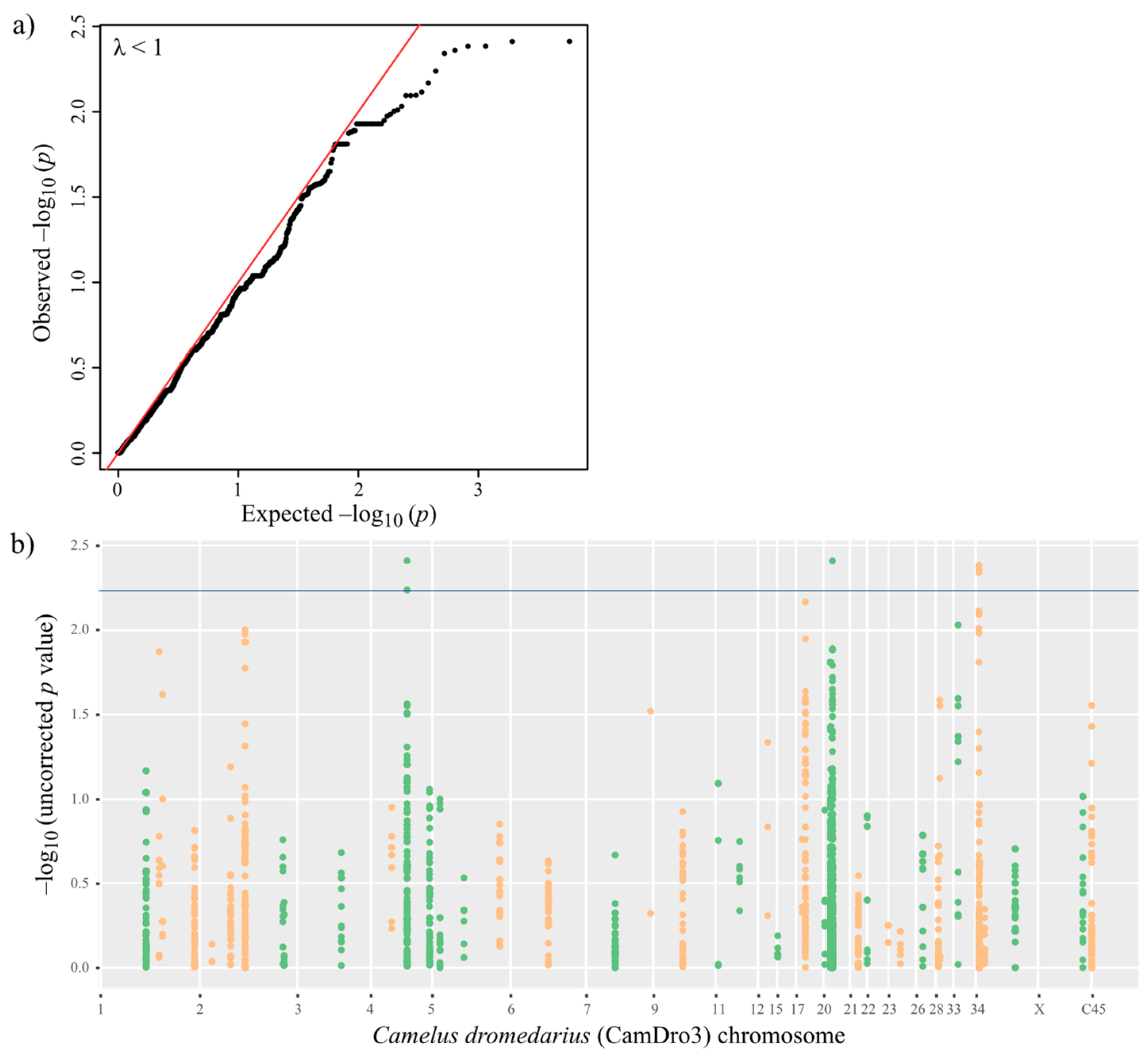 Cells 10 01291 g003 Cells 10 01291 g003