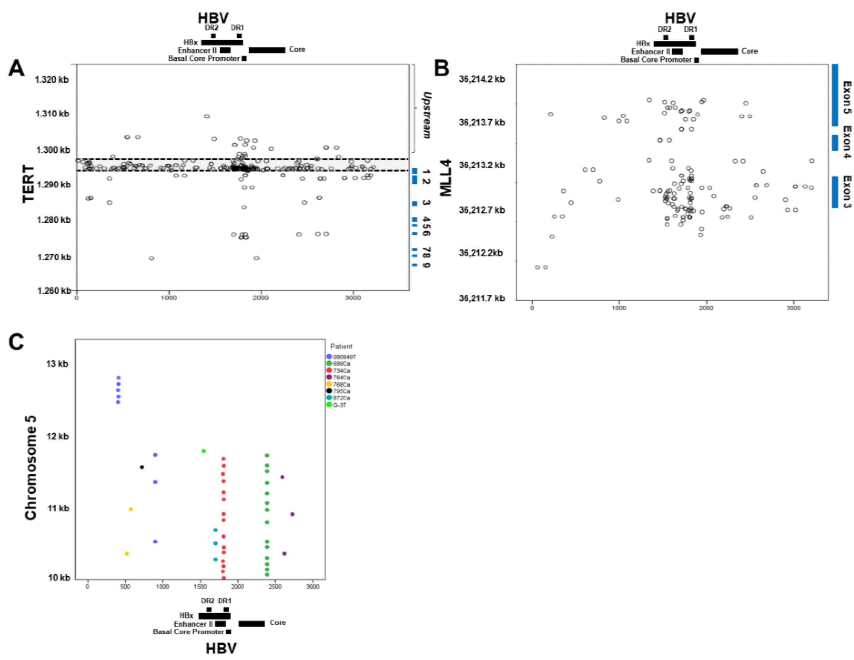 Cells 10 01294 g003 Cells 10 01294 g003