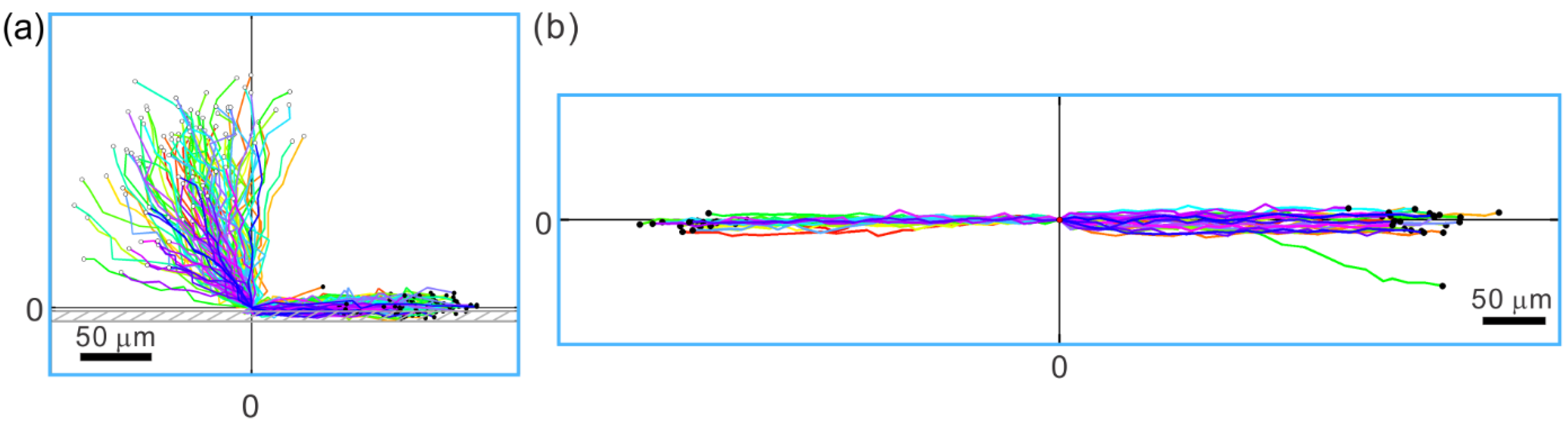 Cells 10 01297 g004 Cells 10 01297 g004