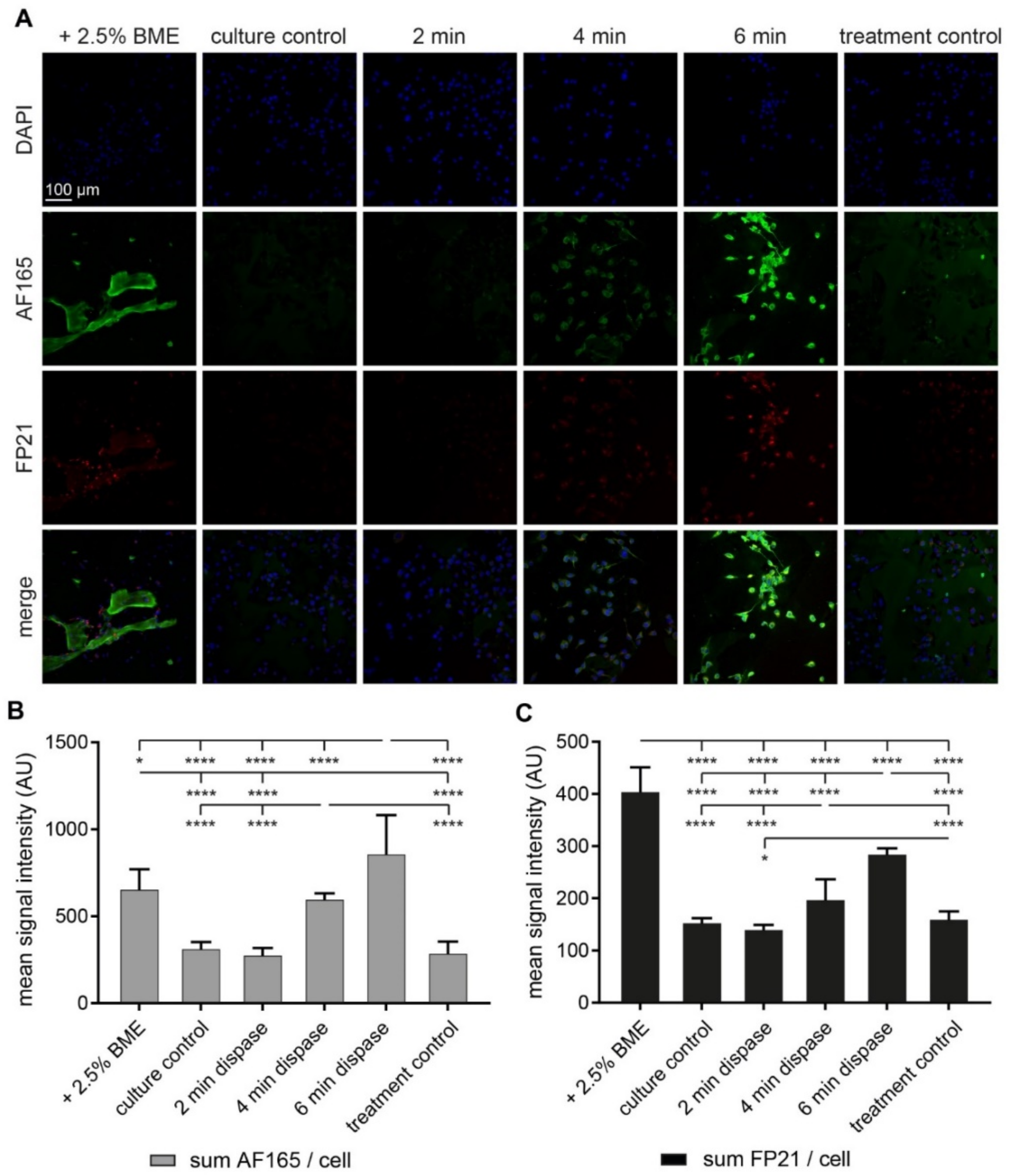 Cells 10 01304 g002 Cells 10 01304 g002