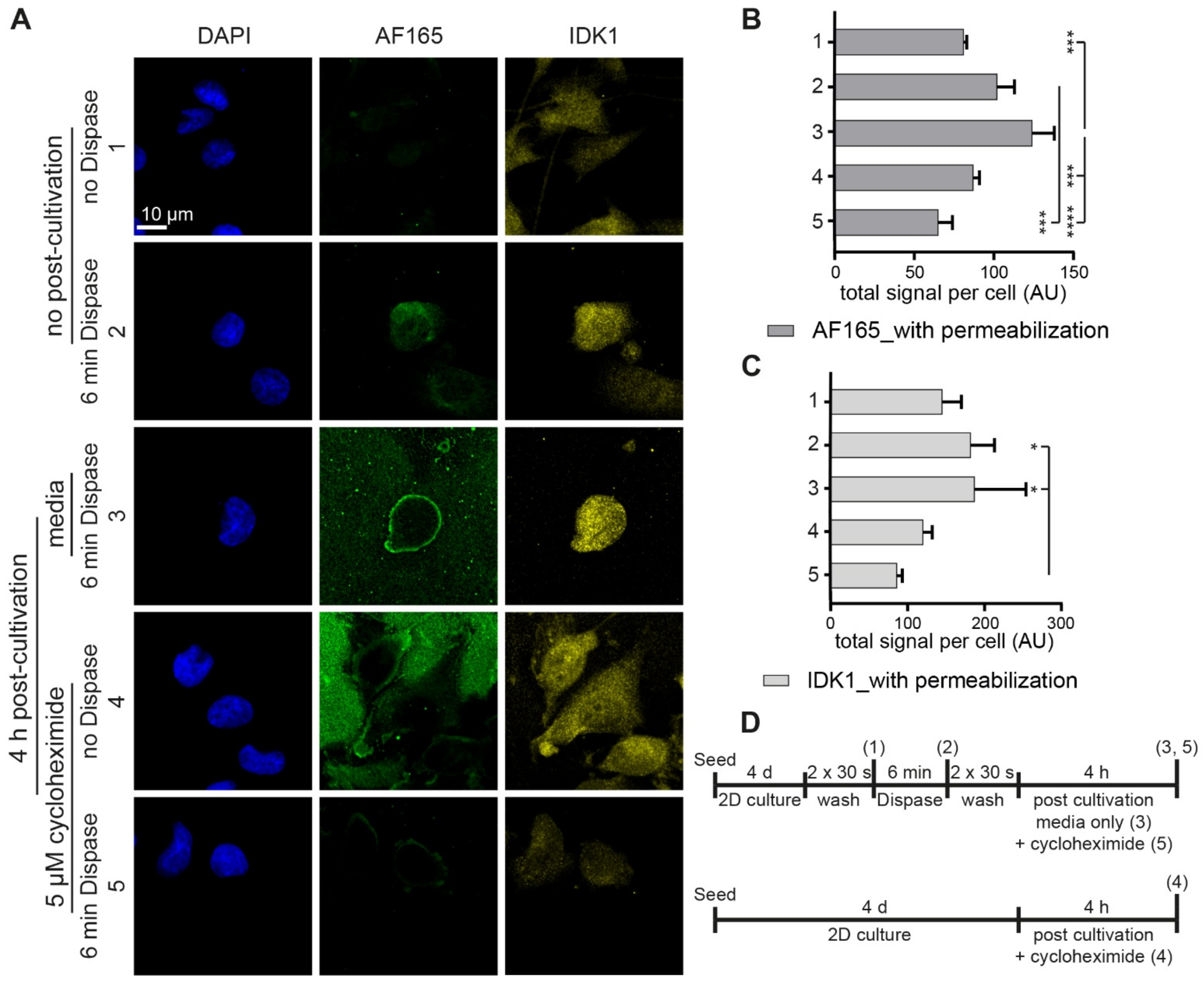 Cells 10 01304 g004 Cells 10 01304 g004