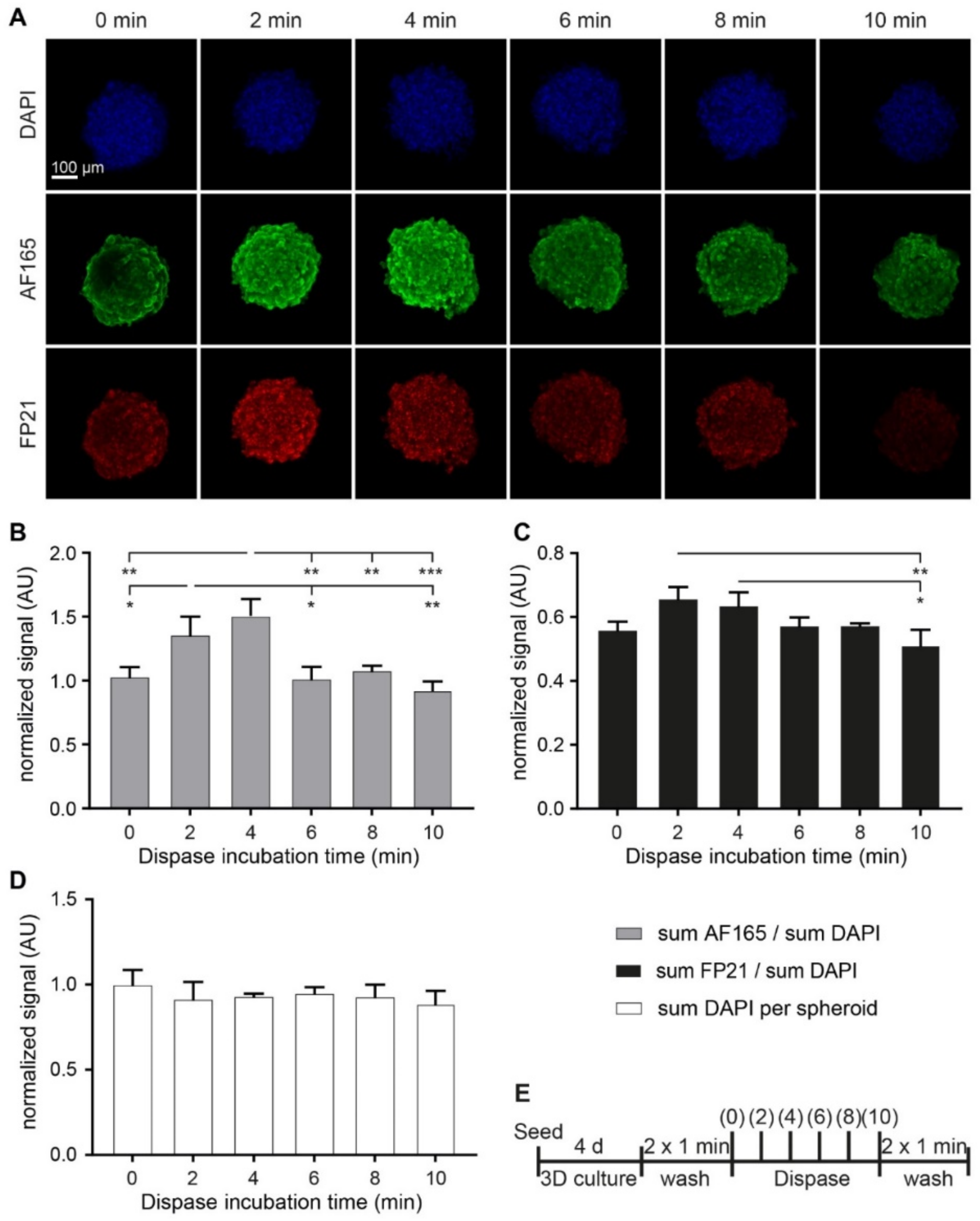 Cells 10 01304 g006 Cells 10 01304 g006