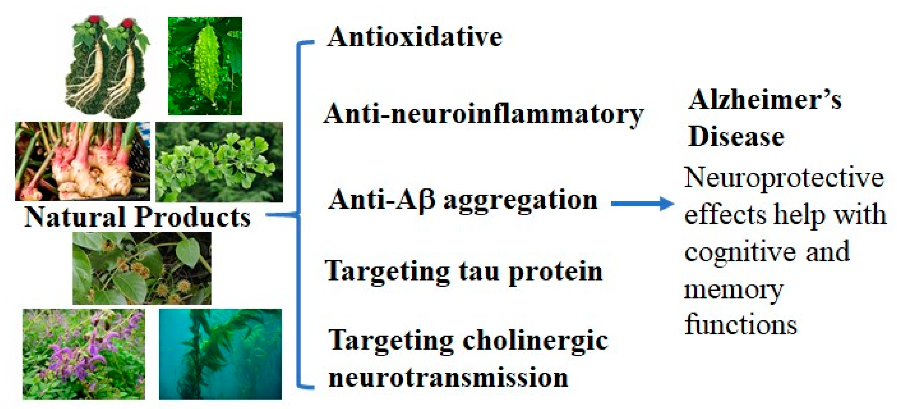 Cells | Free Full-Text | Neuroprotective Natural Products for Alzheimer's Disease | HTML