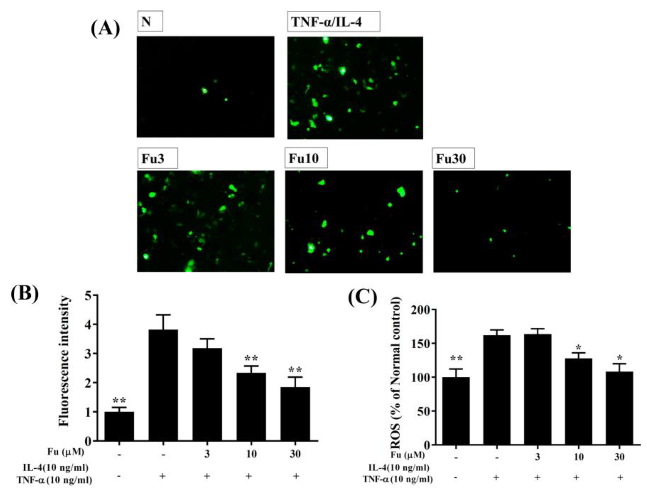 Cells 10 01311 g003