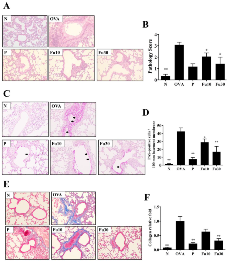 Cells 10 01311 g007