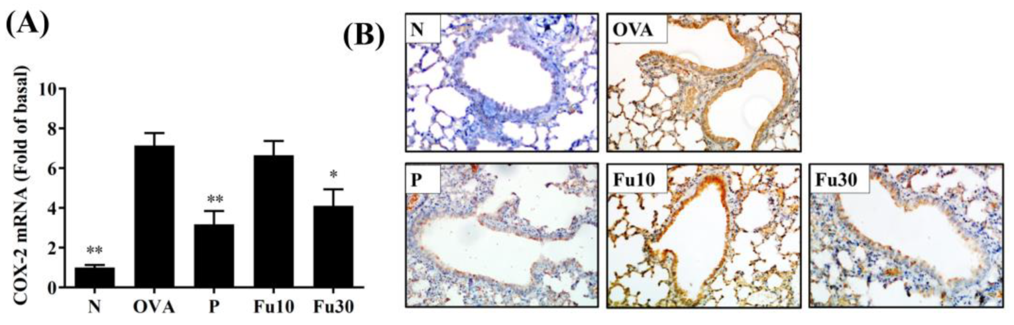 Cells 10 01311 g008