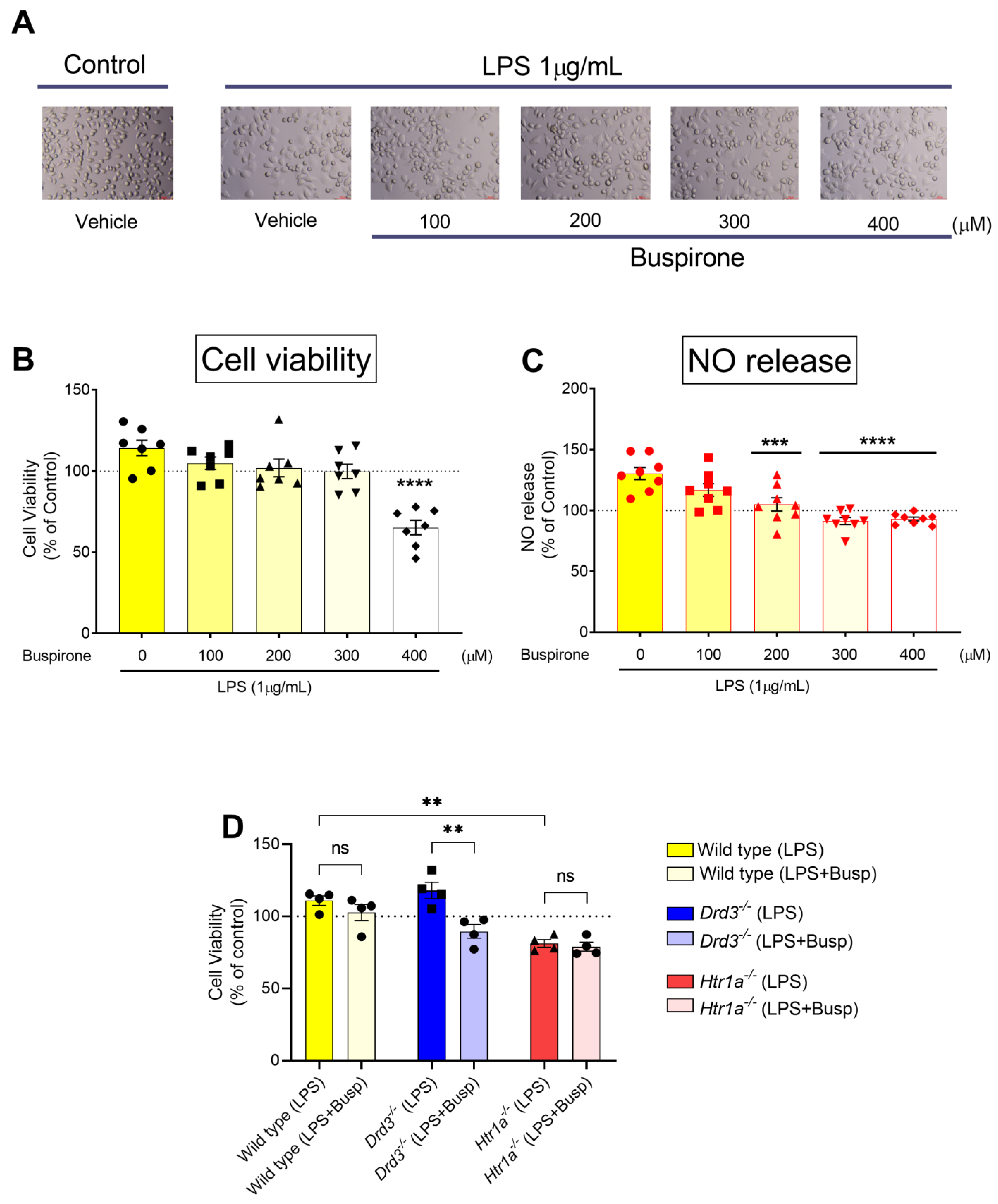 Cells 10 01312 g002 Cells 10 01312 g002