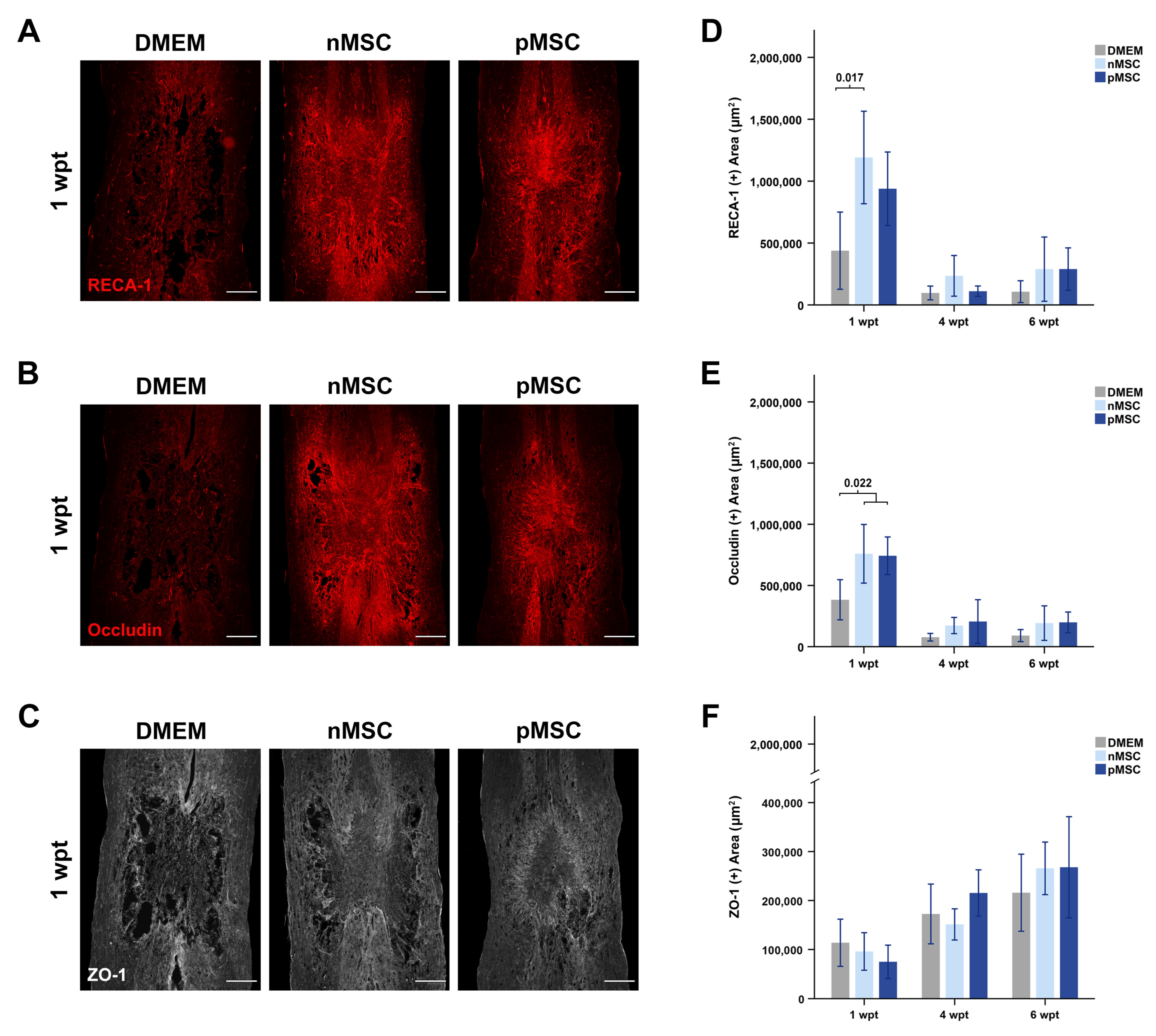 Cells 10 01316 g005