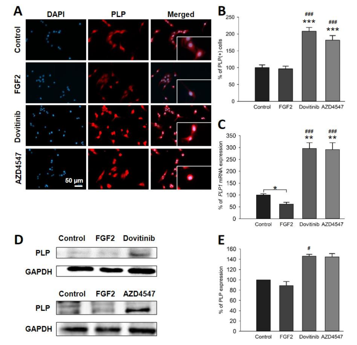 Cells 10 01318 g006 Cells 10 01318 g006