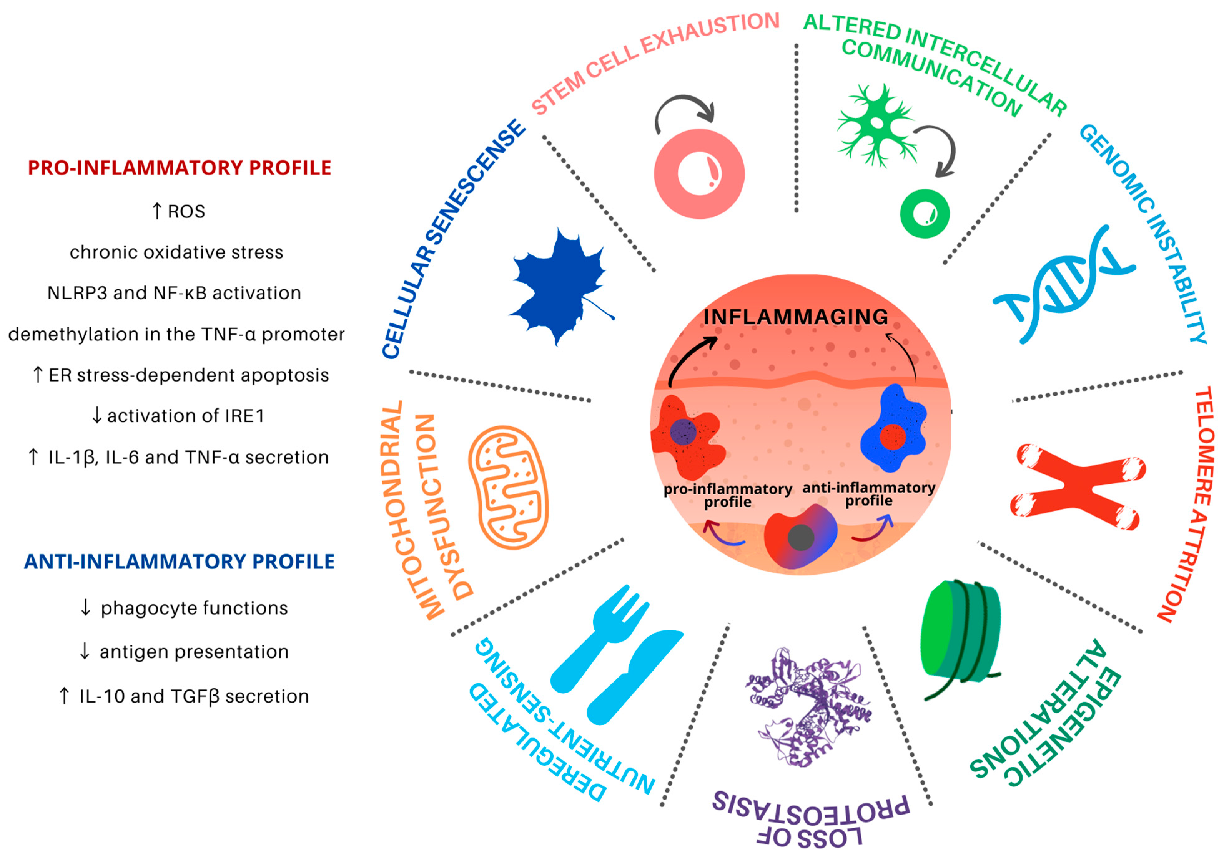 Cells 10 01323 g001 Cells 10 01323 g001