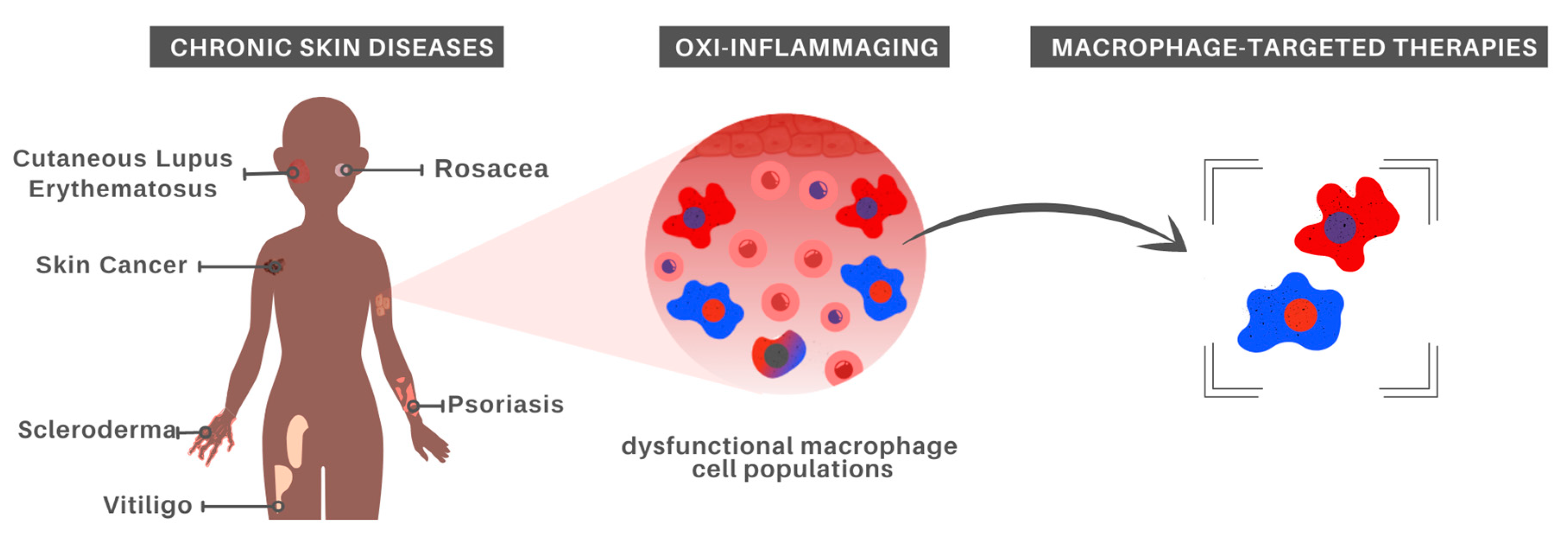 Cells 10 01323 g002 Cells 10 01323 g002