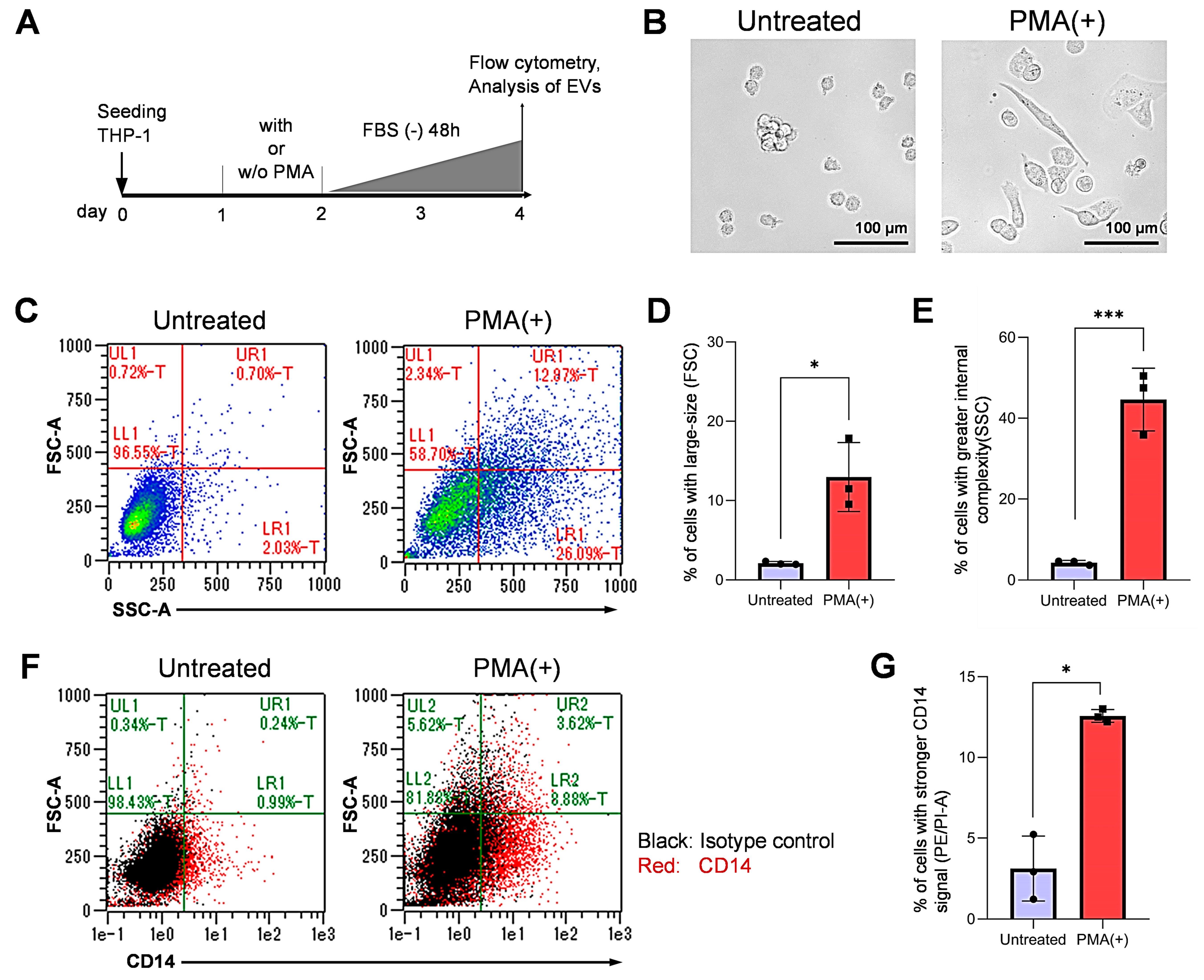 Cells 10 01328 g001 Cells 10 01328 g001