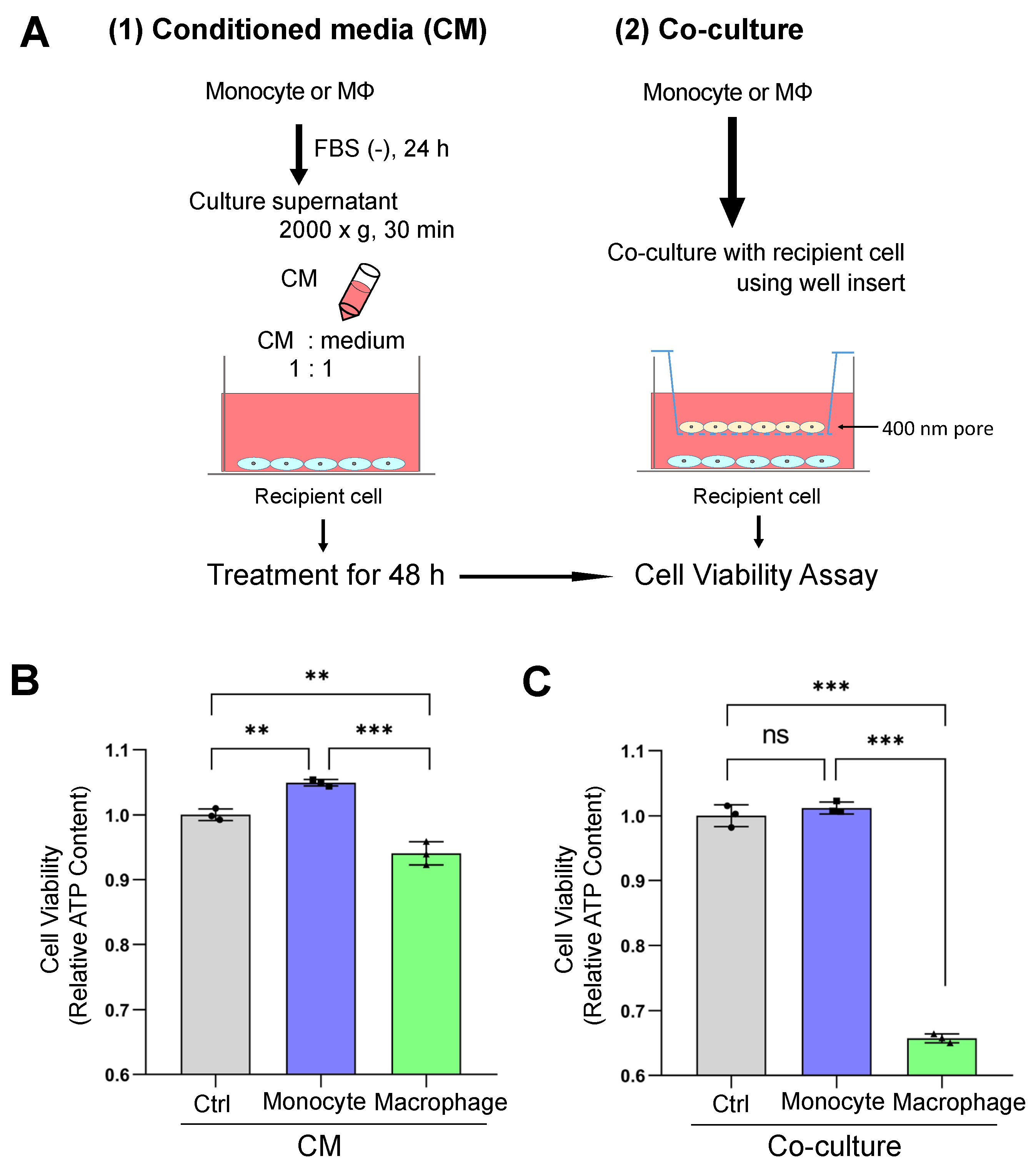 Cells 10 01328 g003 Cells 10 01328 g003