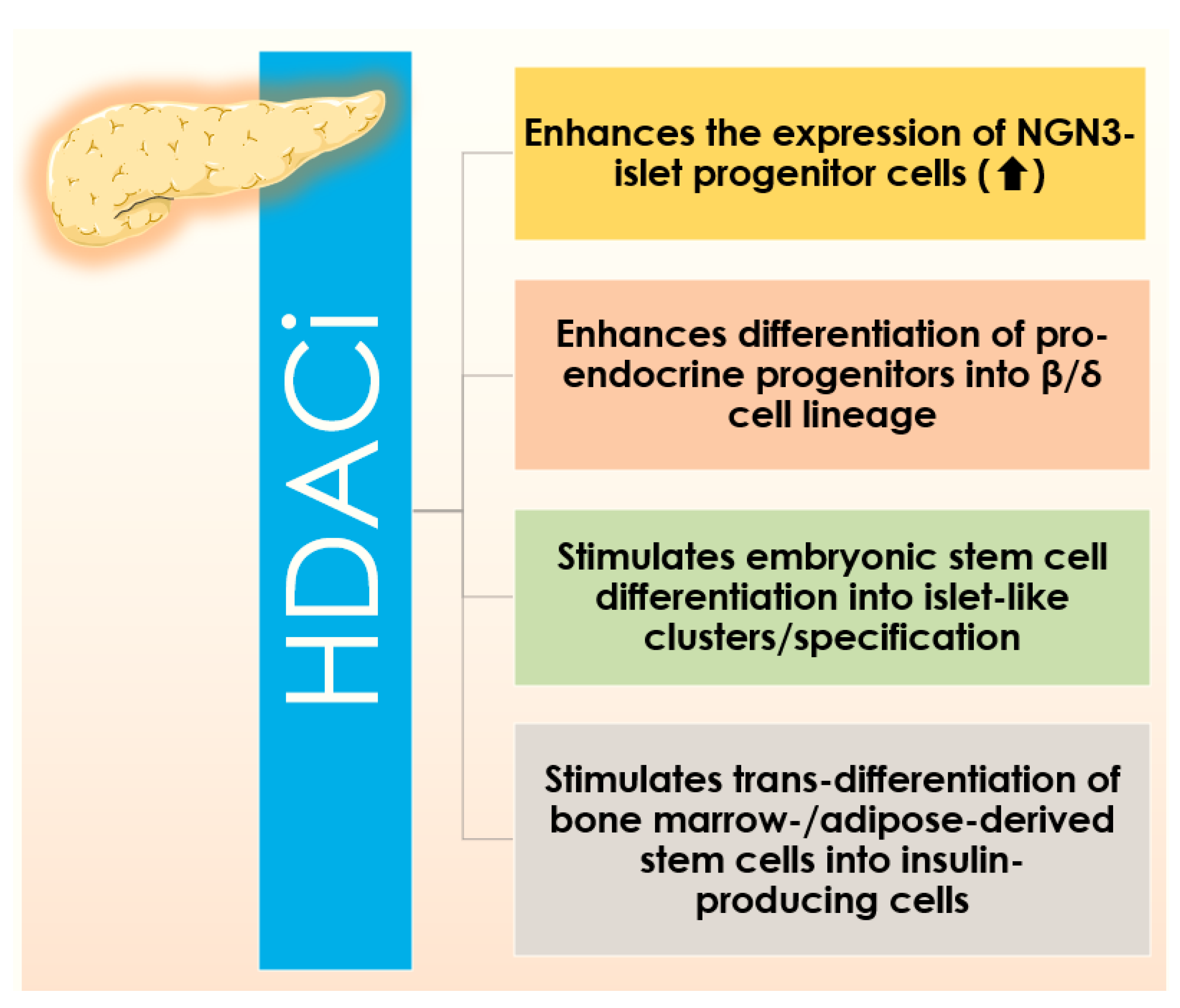 Cells 10 01340 g001 Cells 10 01340 g001