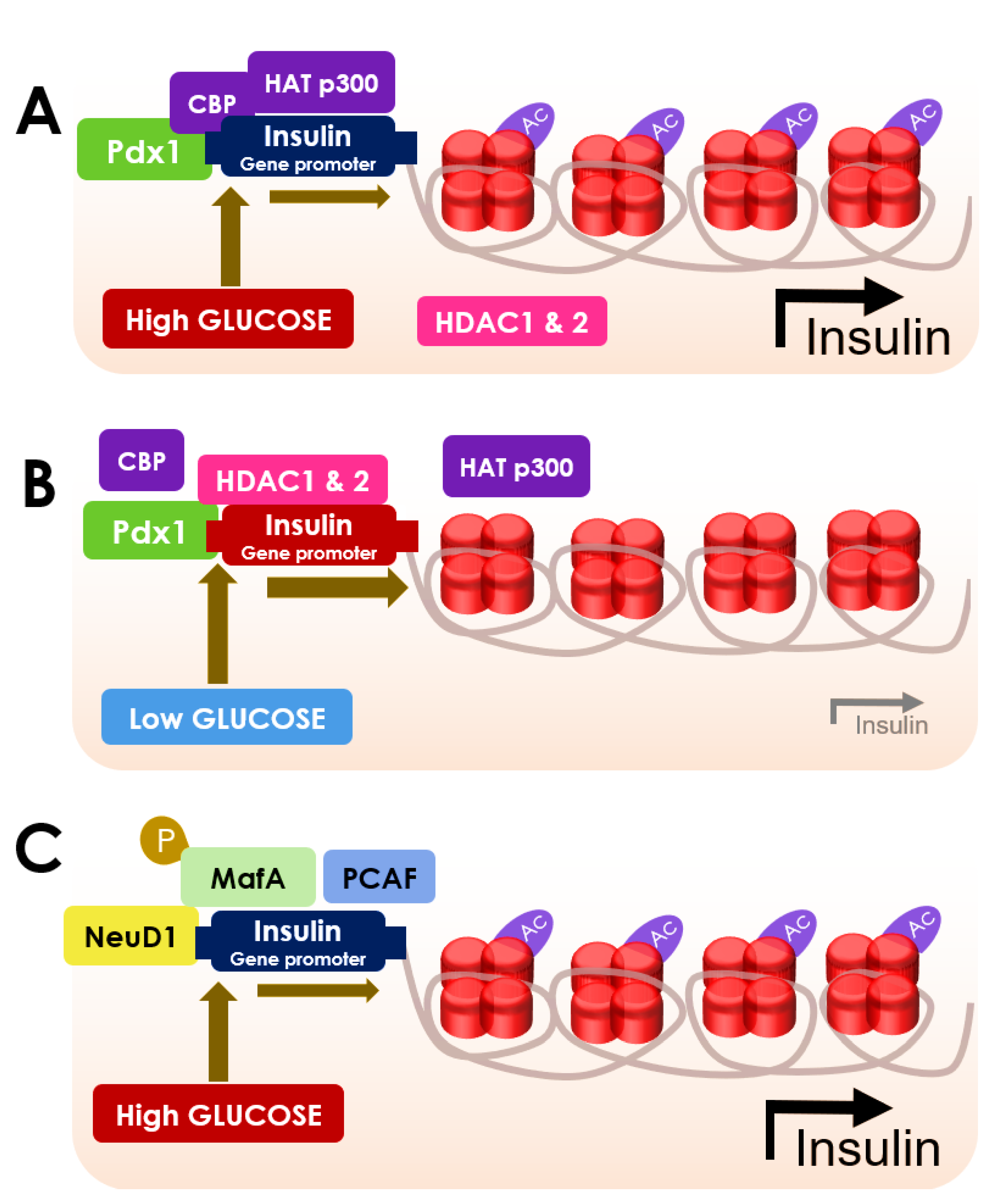 Cells 10 01340 g002 Cells 10 01340 g002