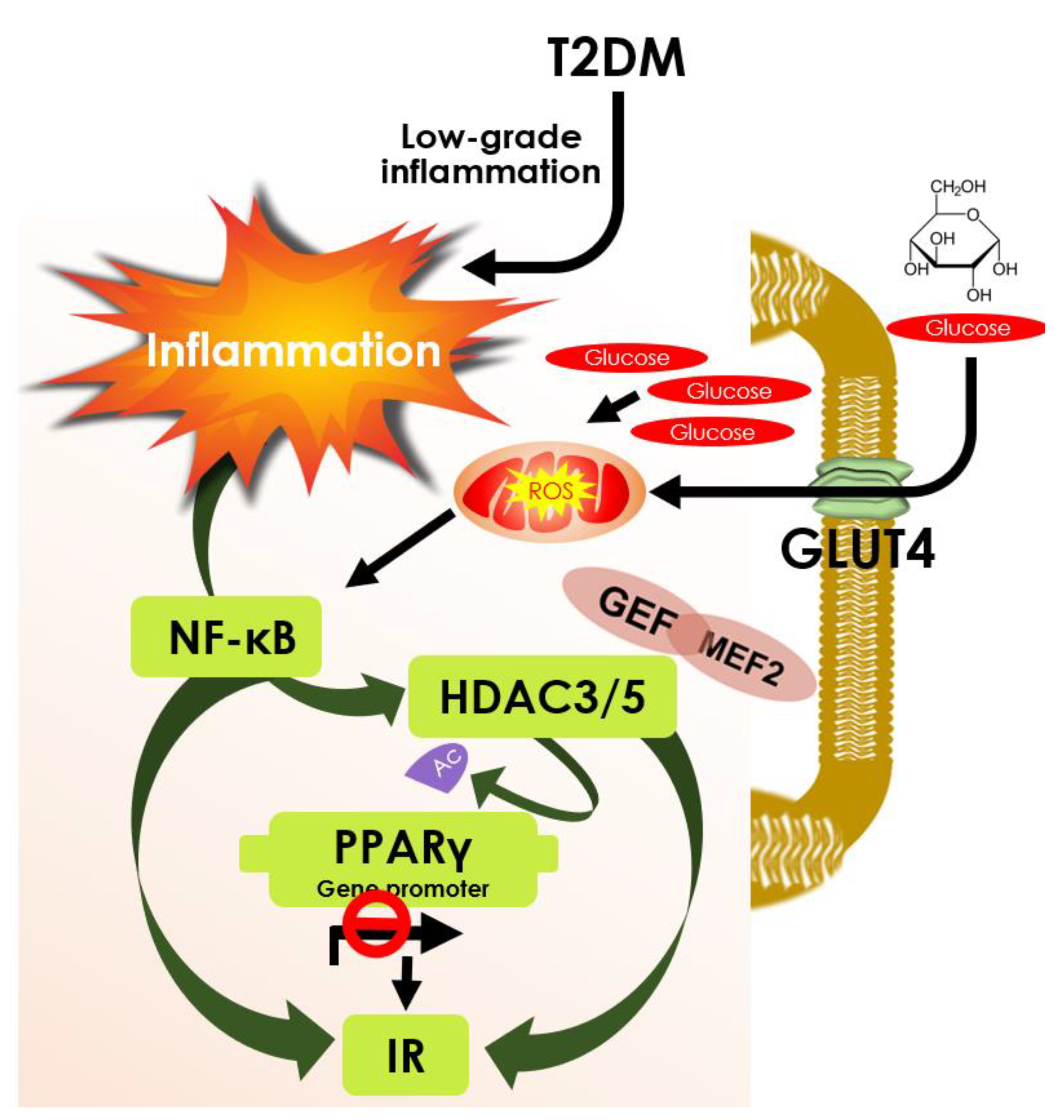 Cells 10 01340 g004 Cells 10 01340 g004