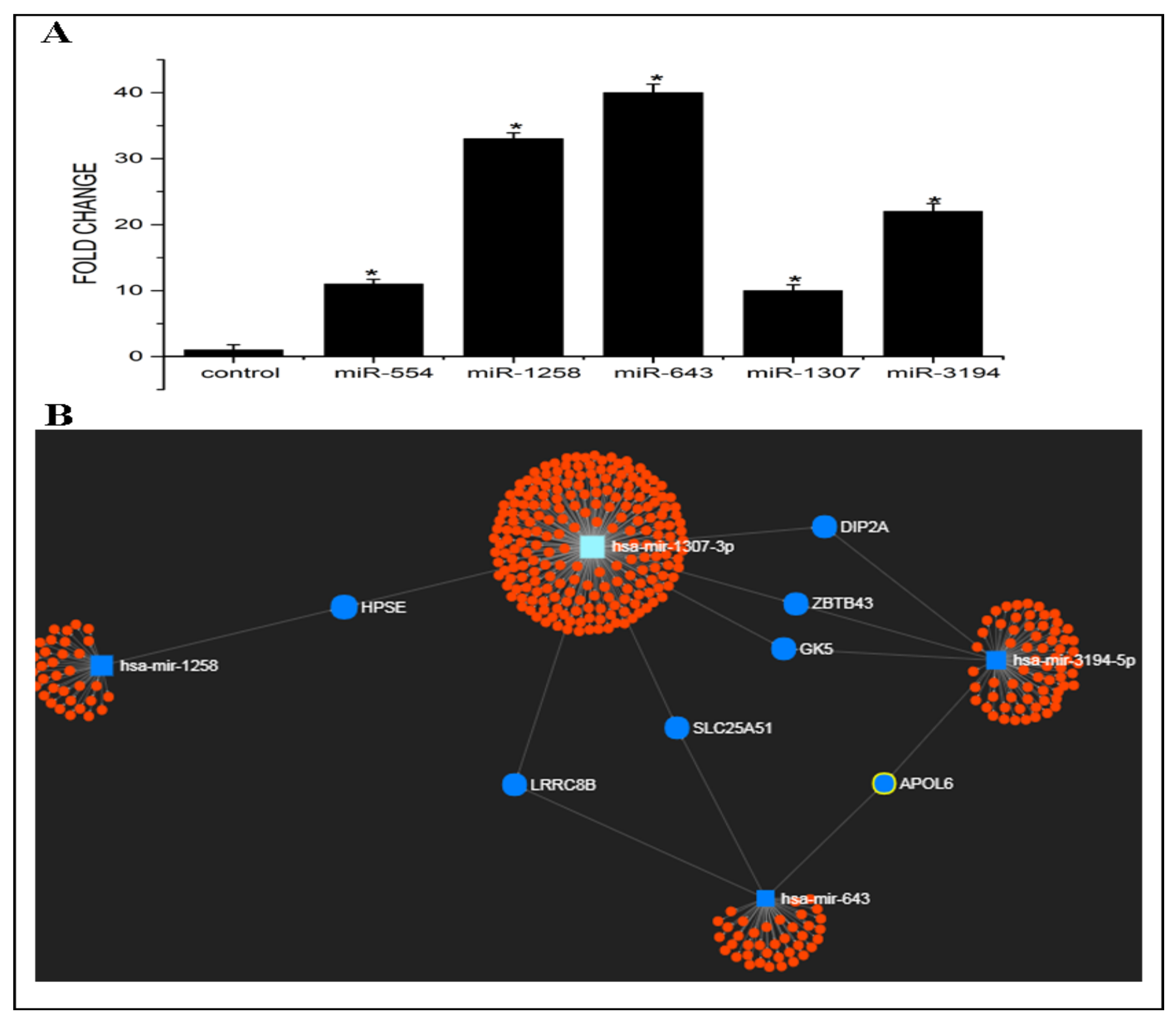 Cells 10 01341 g001 Cells 10 01341 g001